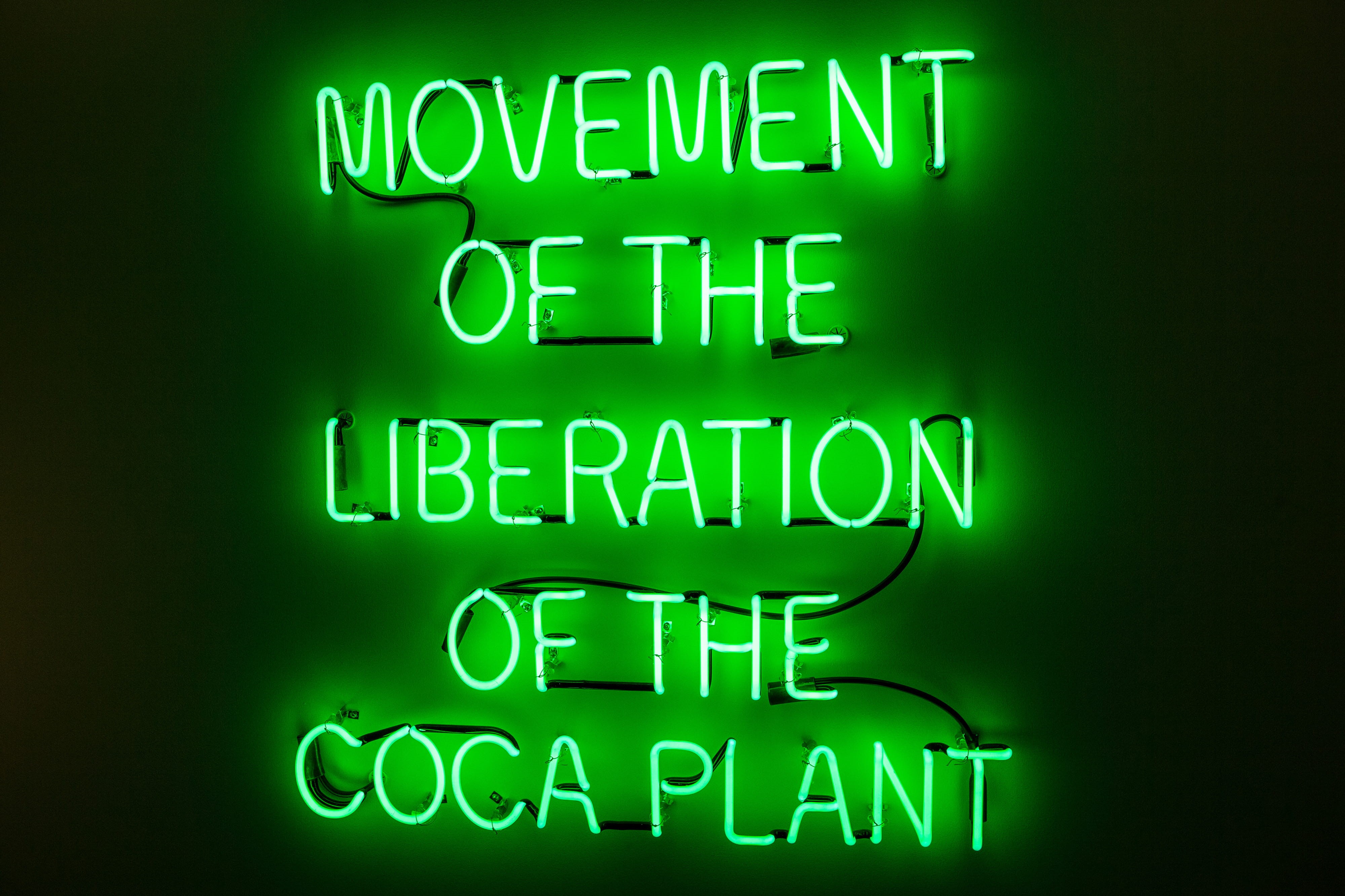 green, close, indoors, message, Close-up shot, shot, green Color, information, sign, wall - building feature, york, nYC, manhattan, text, glowing, close-up, HD Wallpaper
