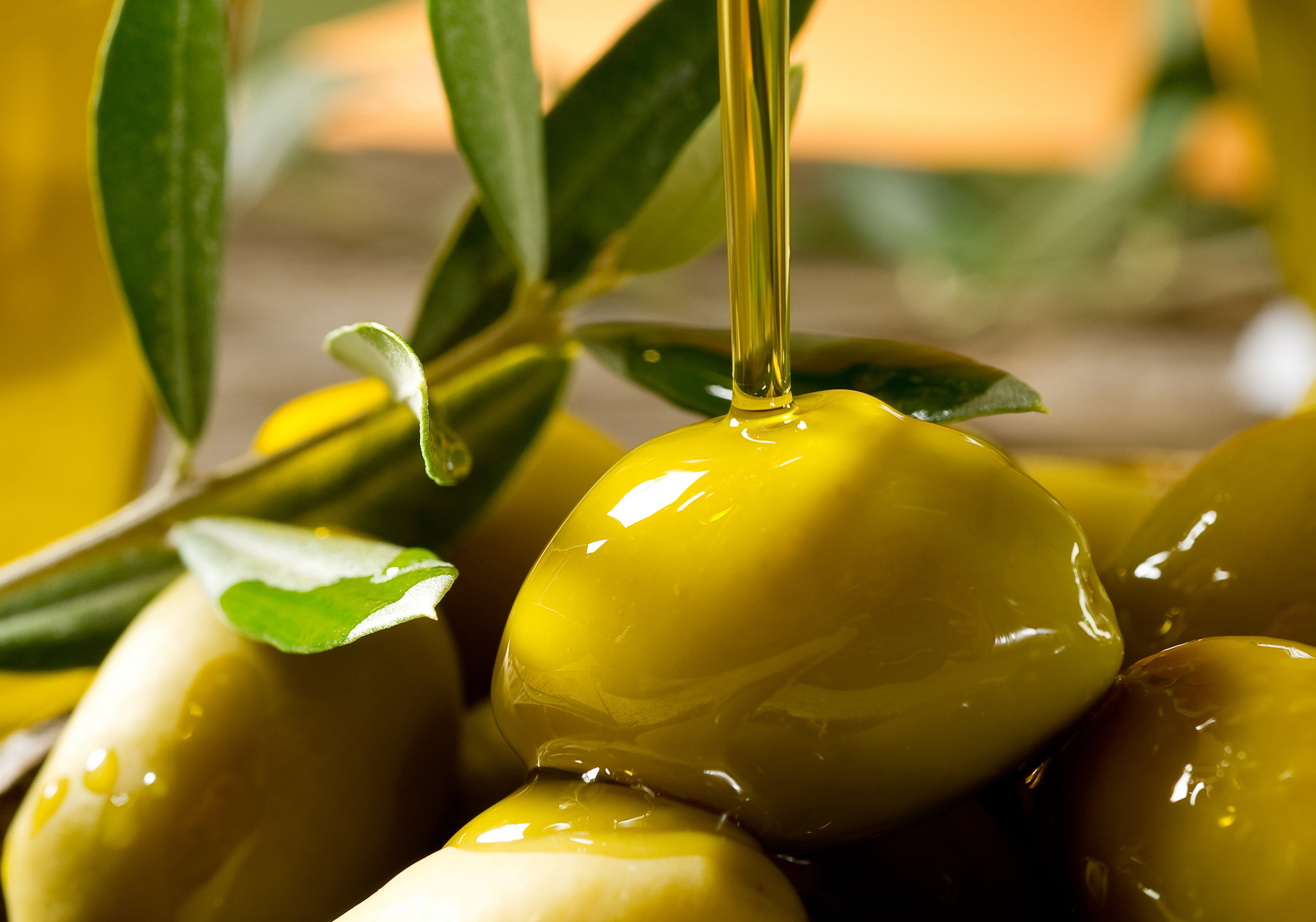 organic, raw Food, fruit, plant part, pepper, vegetable, olive Oil, leaf, plant, ripe, thread, green Olive, food And Drink, cooking Oil, growth, ingredient, HD Wallpaper