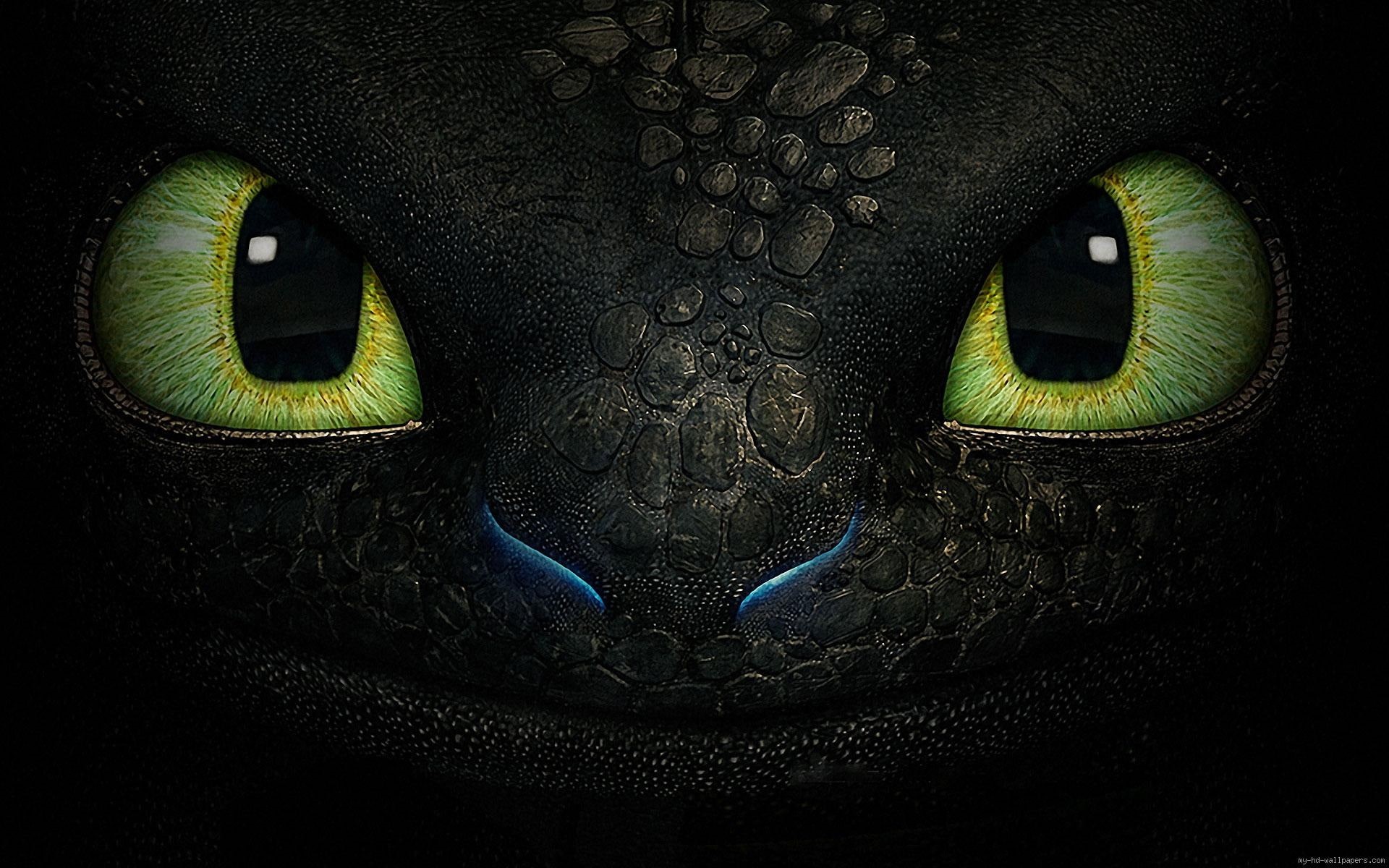 train, dragon, cartoon, movie, toothless, print, 1080P, HD Wallpaper