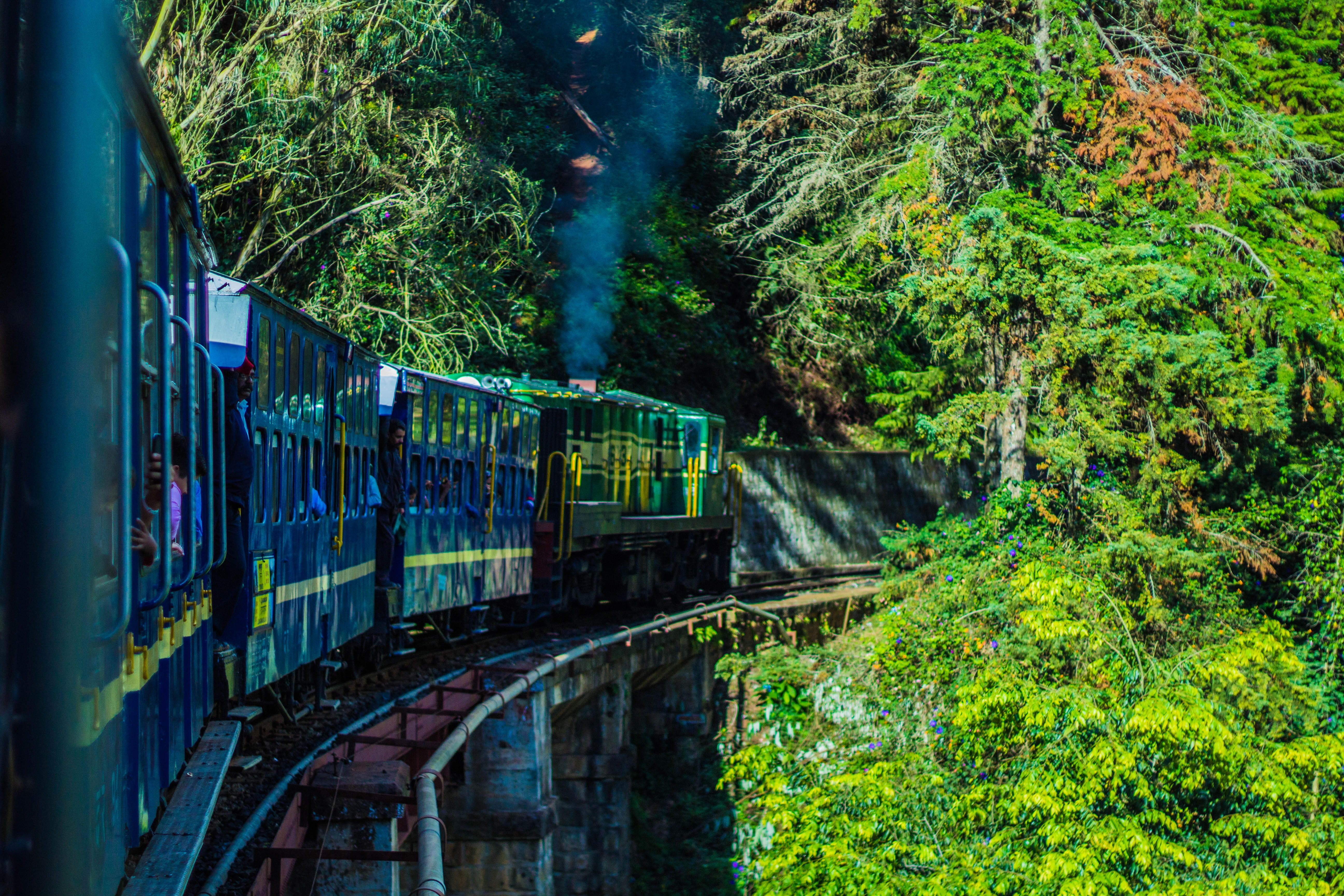 india, forest, ooty, outdoors, bridge, transportation, mode of transportation, adventurous, growth, green color, public transportation, railways, train, HD Wallpaper