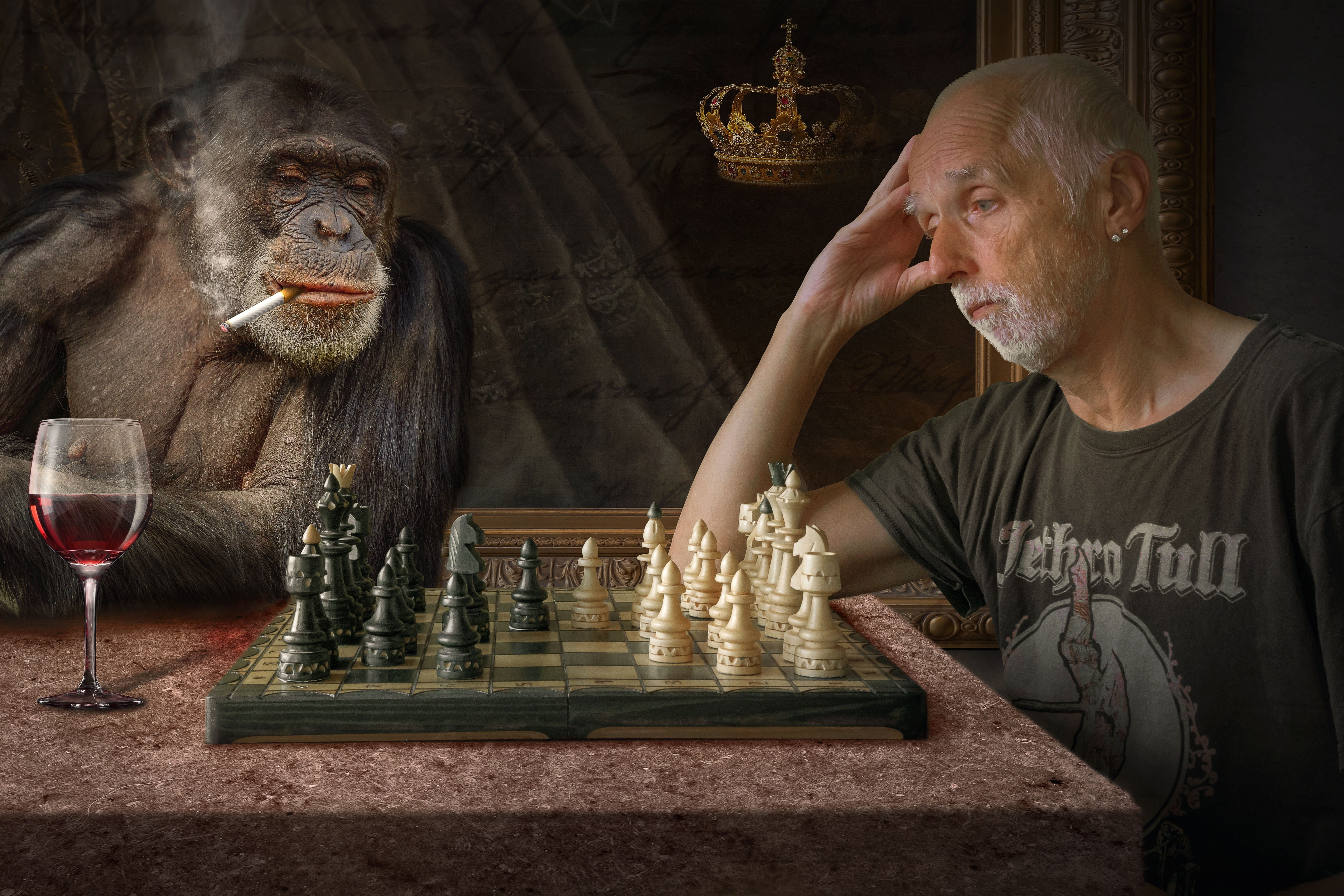 table, game, board game, waist up, challenge, sitting, chess pieces, fantasy picture, chess board, man, monkey, mature men, mature adult, indoors, think, HD Wallpaper
