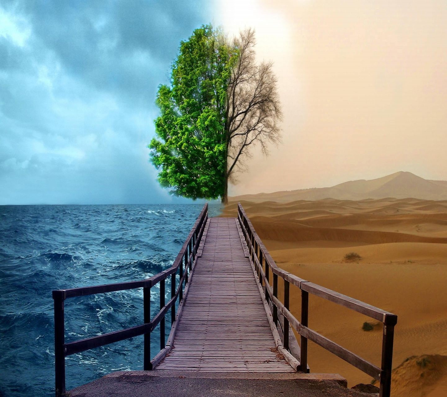 landscape, photomontage, 720P, sea, desert, HD Wallpaper