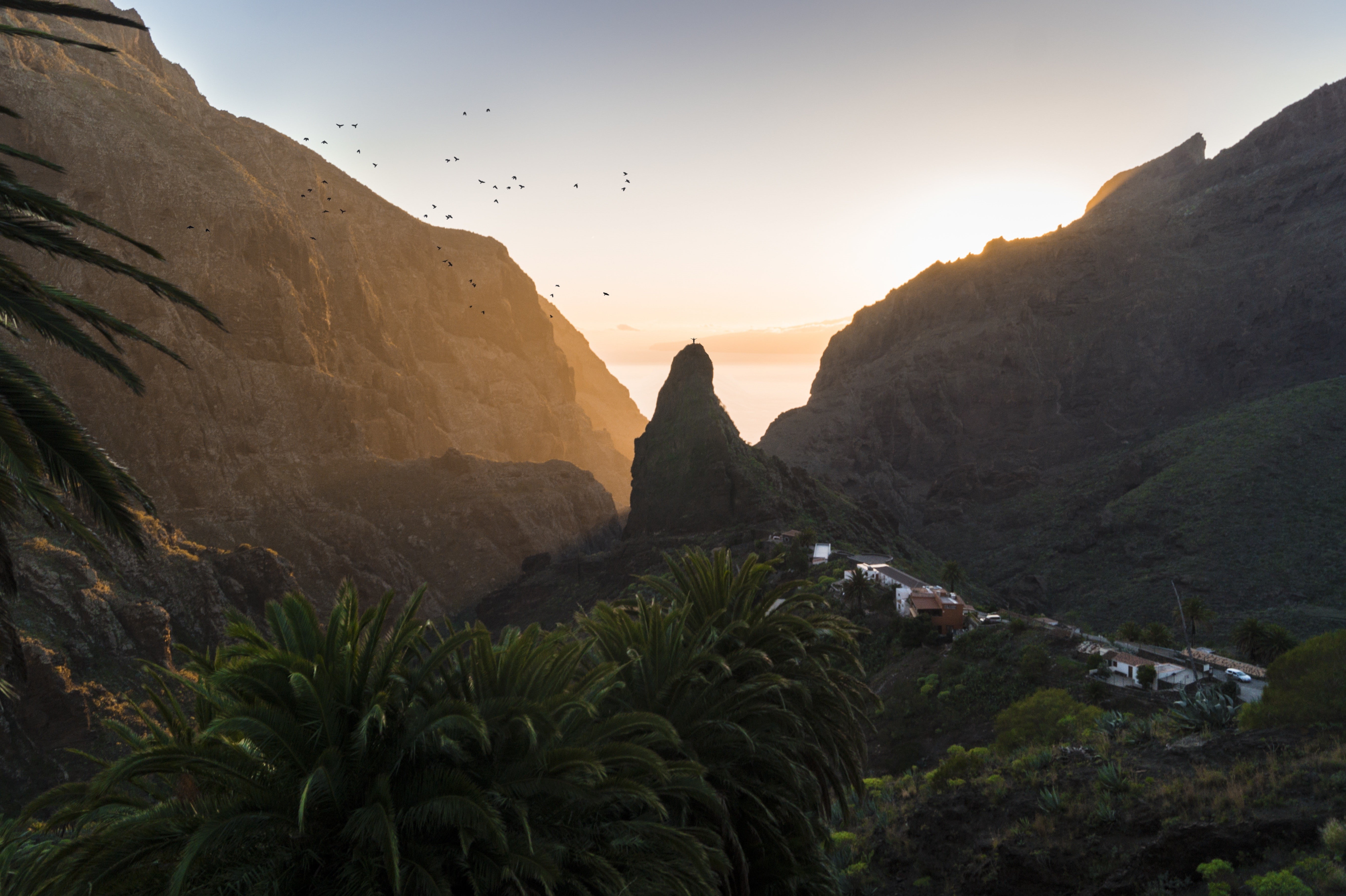 sunset, palm trees, landscape, nature, photomontage, mountains, 5K, HD Wallpaper