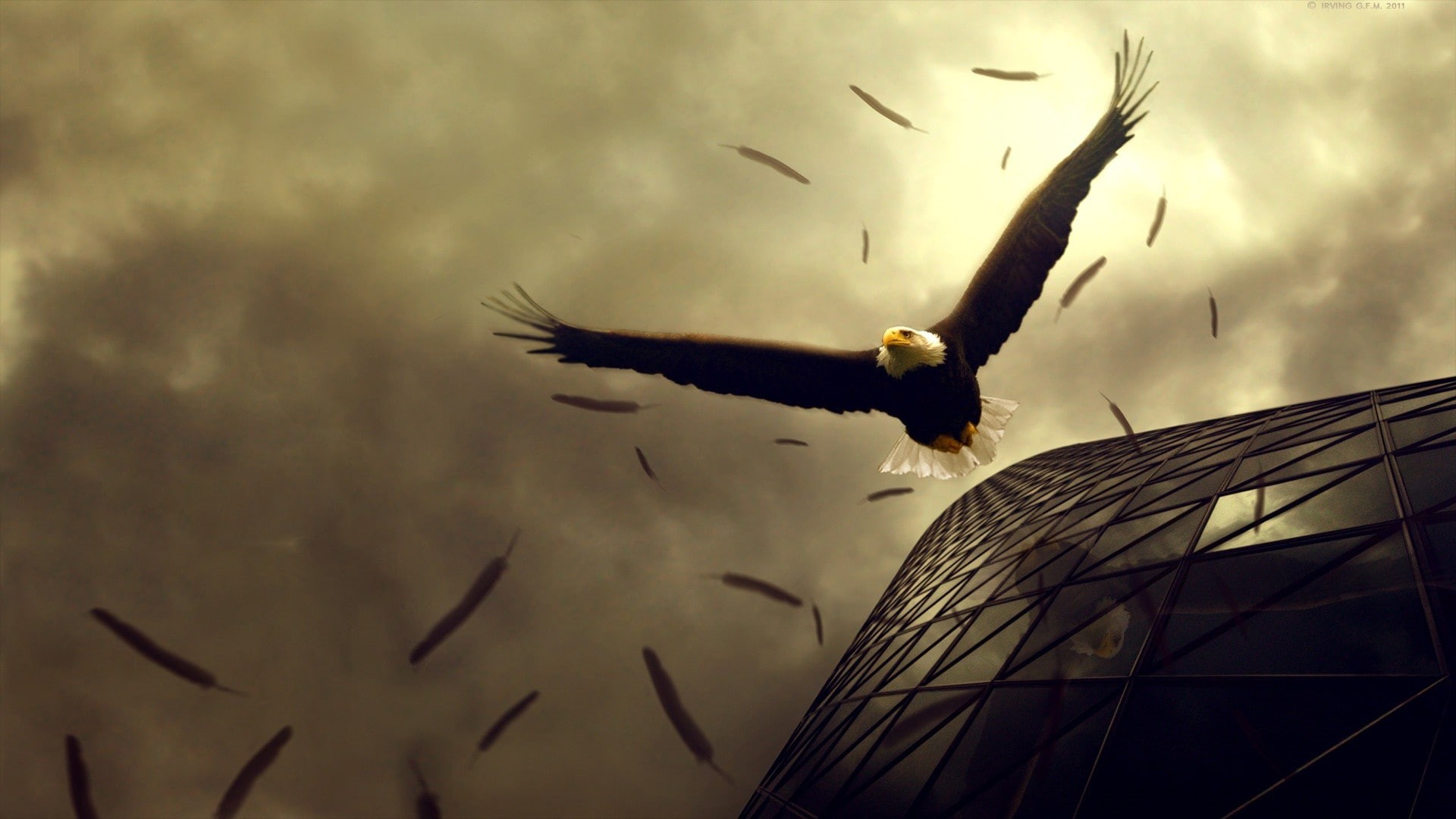 building, birds, photomontage, feathers, 1080P, eagle, HD Wallpaper