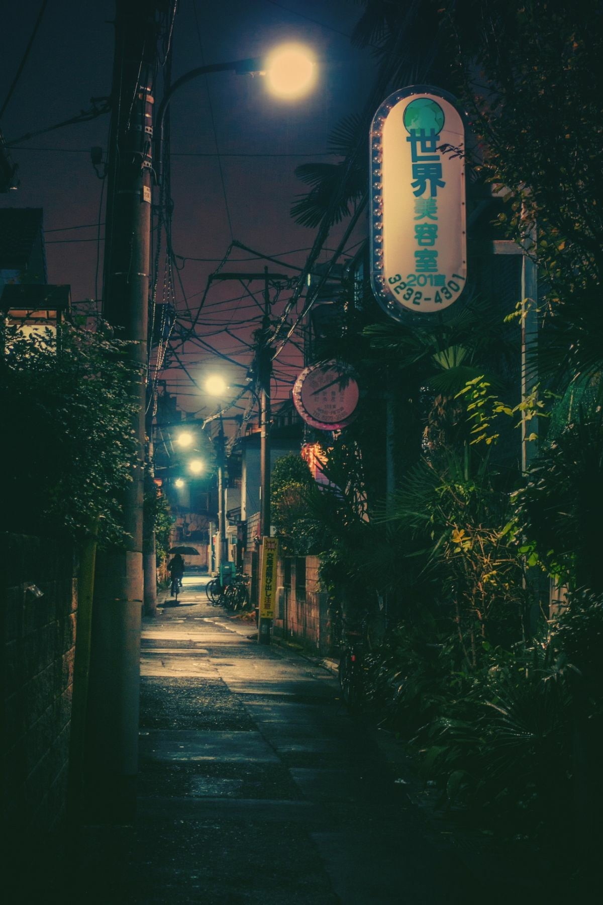 cityscape, alley, outdoors, direction, night, light, chinese lantern, plant, built structure, lantern, signage, sign, lights, building exterior, nature, Phone HD Wallpaper