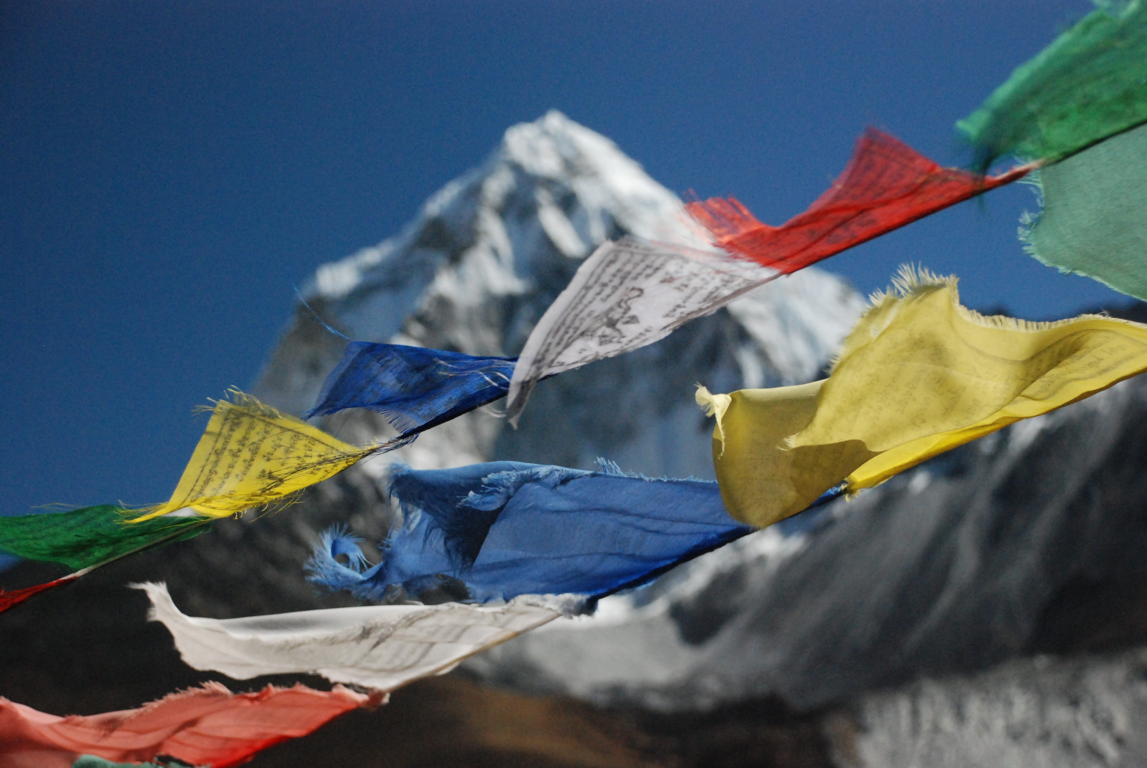 plant part, outdoors, no people, flag, blue, leaf, mountain range, nature, multi colored, wind, tibetan flags, maple leaf, day, environment, paper, 4K, HD Wallpaper