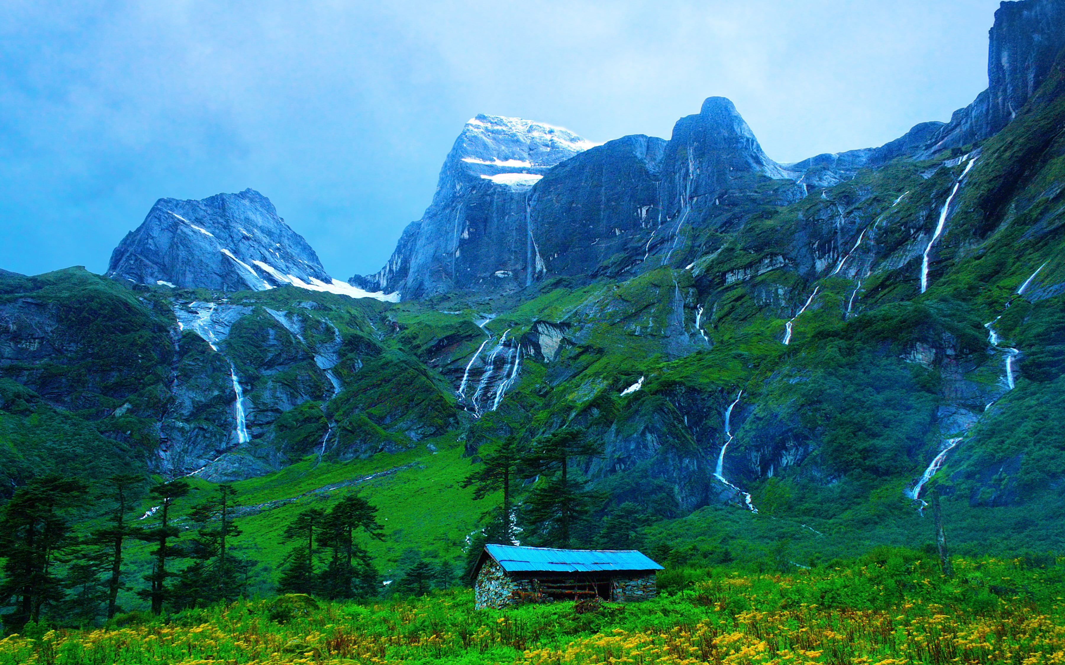 scenics - nature, mountain range, non-urban scene, landscape, flower, environment, tranquil scene, Himalayas, yellow, mountain, land, green color, formation, HD Wallpaper
