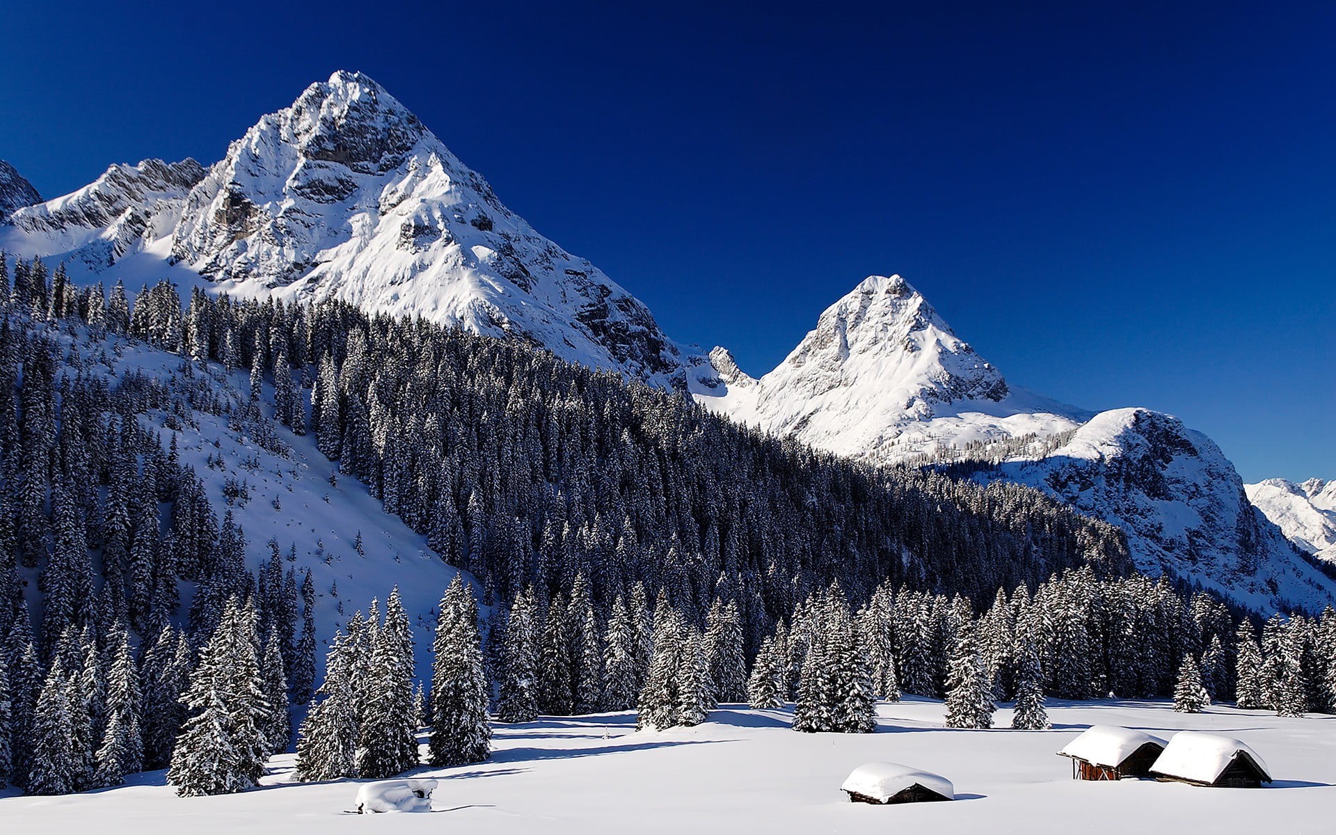 coniferous tree, beauty in nature, capped, scenics - nature, snowcapped mountain, white color, pine woodland, mountain peak, winter, snow, tranquility, HD Wallpaper