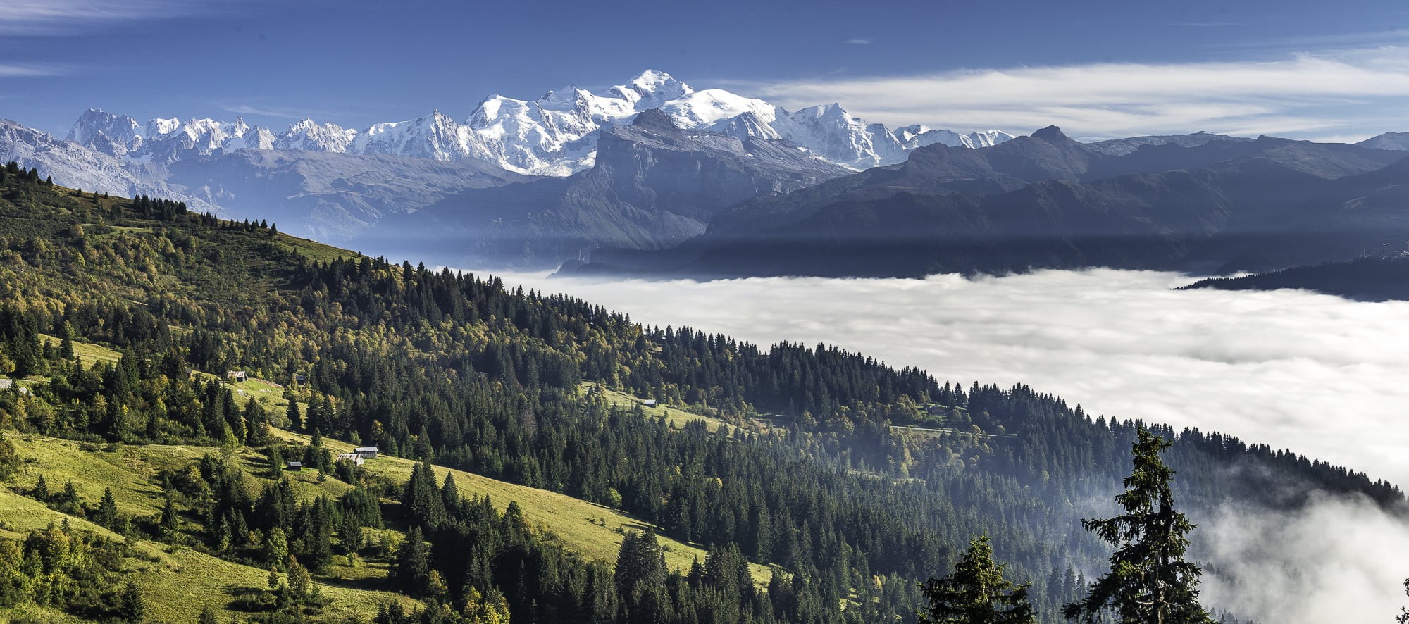 Alps, beside, mountain Peak, daytime, trees, european Alps, mont, forest, mountain Range, Montagne, outdoors, river, pine trees, snow mountains, mountains, HD Wallpaper