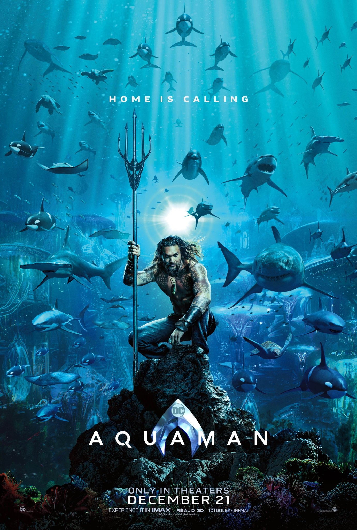 shark, Warner Brothers, movie poster, DC Universe, Justice League, DC Comics, Aquaman, 1080P, Phone HD Wallpaper