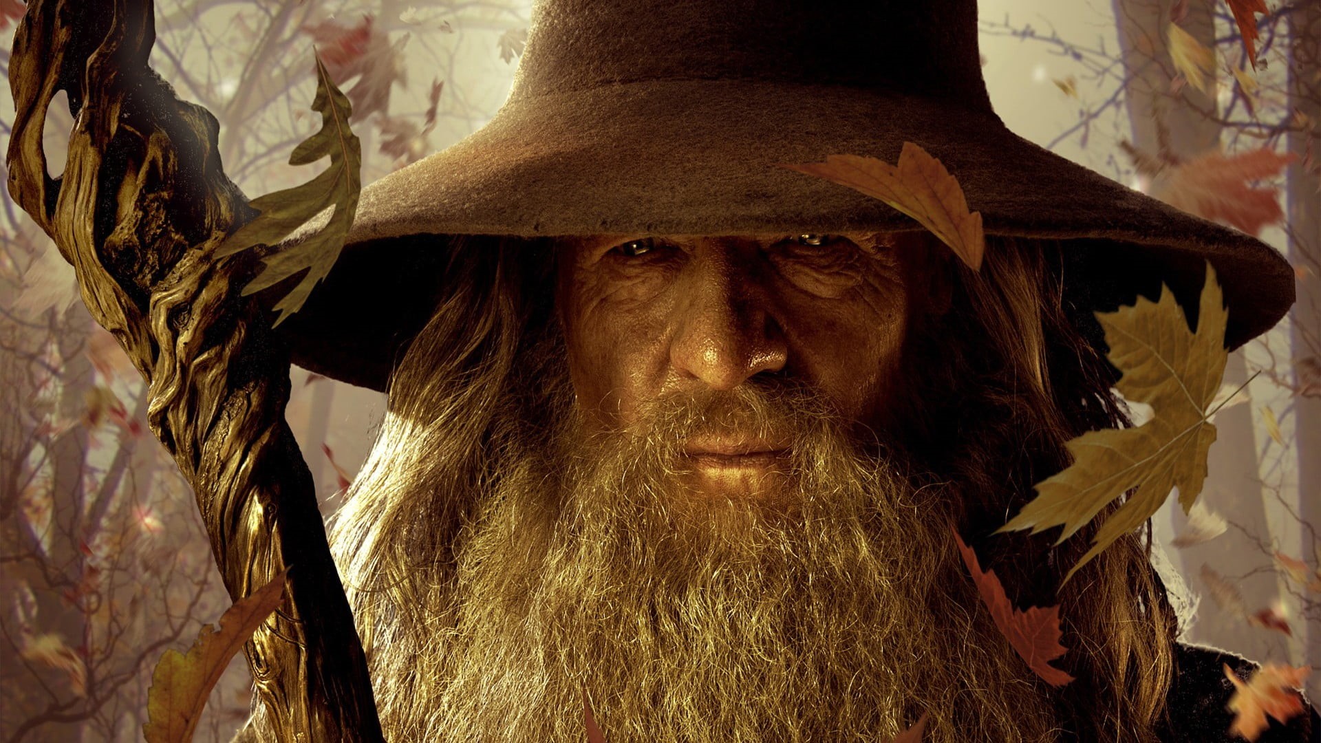 Gandalf, leisure activity, wizard, front view, close-up, hat, leaves, adult, lifestyles, long hair, plant, hairstyle, rings, portrait, movies, HD Wallpaper