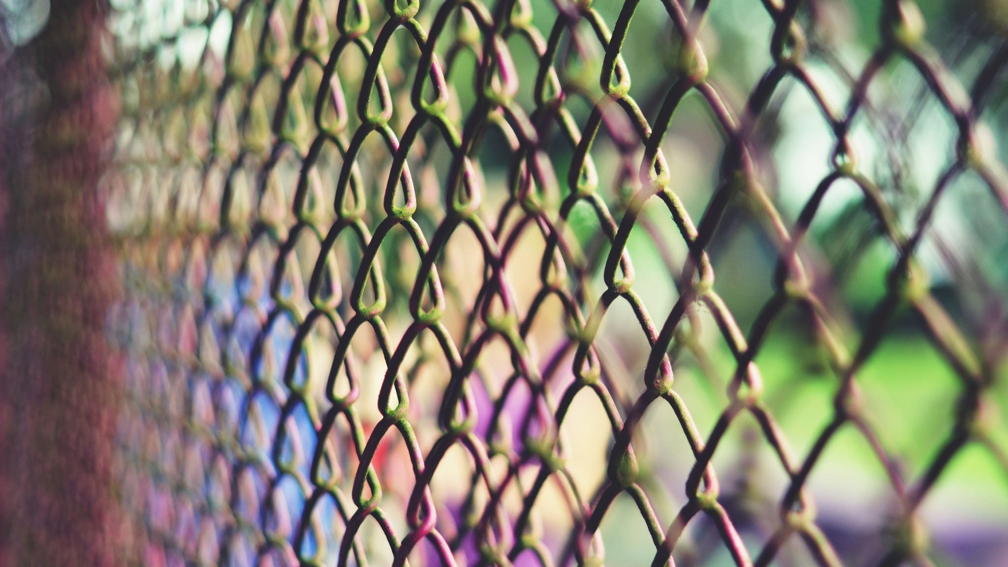diamond, cyclone, selective, security, grid, fence, gray, outdoors, focus, photography, metal, protection, boundary, full frame, safety, selective focus, HD Wallpaper