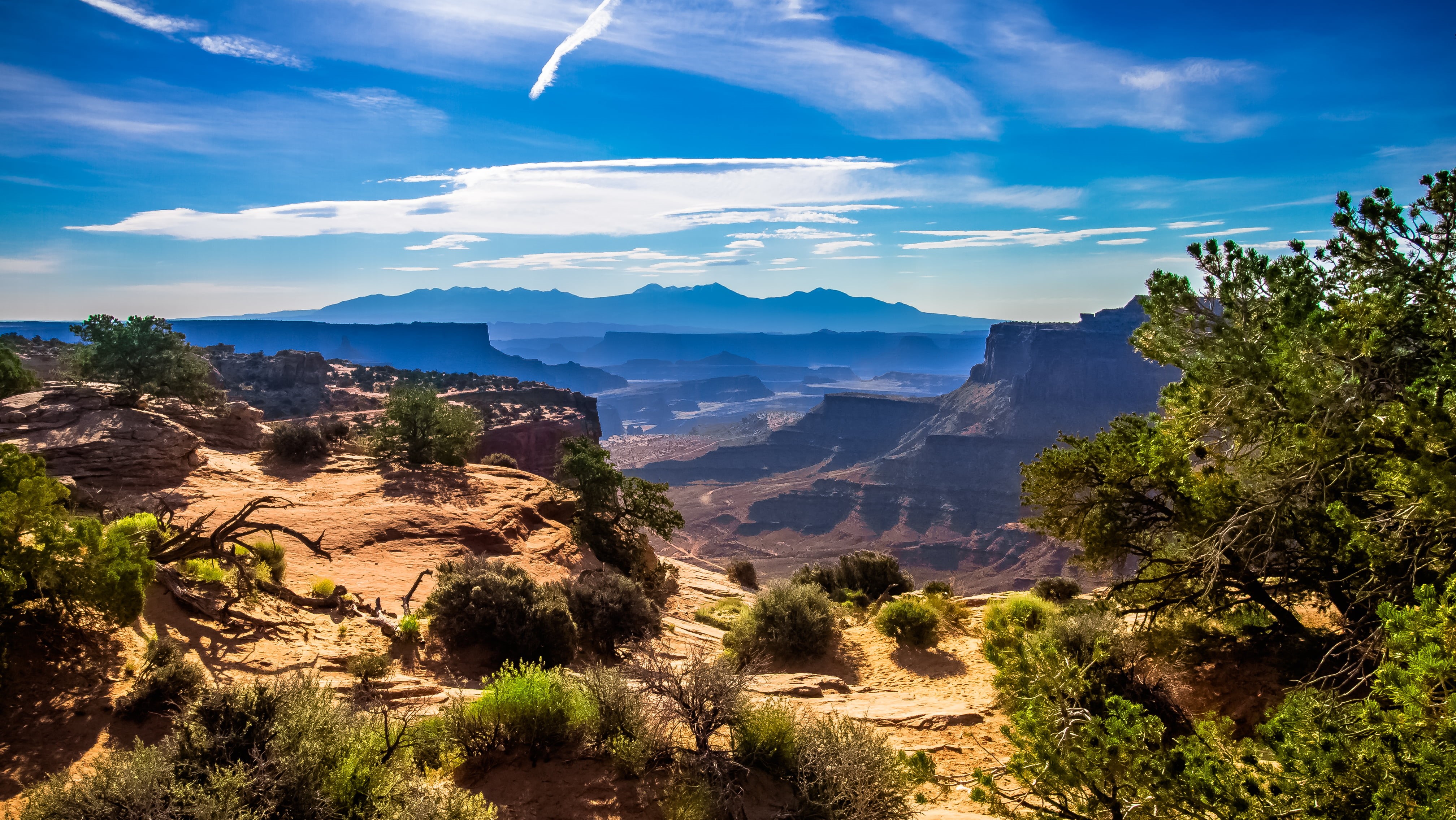 plants, uSA, national Park, national Landmark, grand Canyon National Park, Trail, sky  blue, field, clouds, 4K, rock - Object, Goose, view, Neck, outdoors, HD Wallpaper