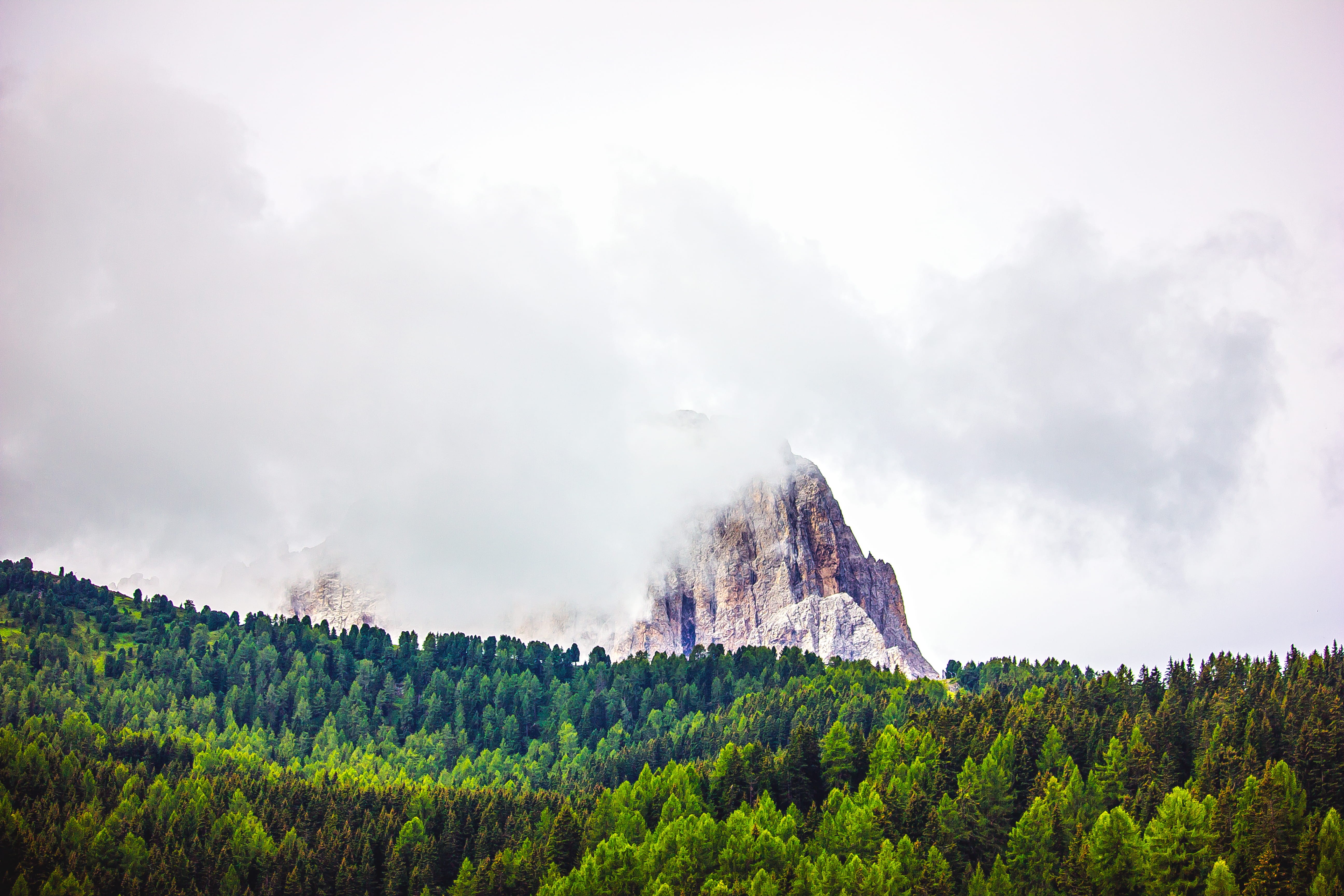mountains, dolomiti, tranquil scene, landscape, non-urban scene, coniferous tree, growth, environment, cloud - sky, dolomites, green color, no people, woodland, HD Wallpaper