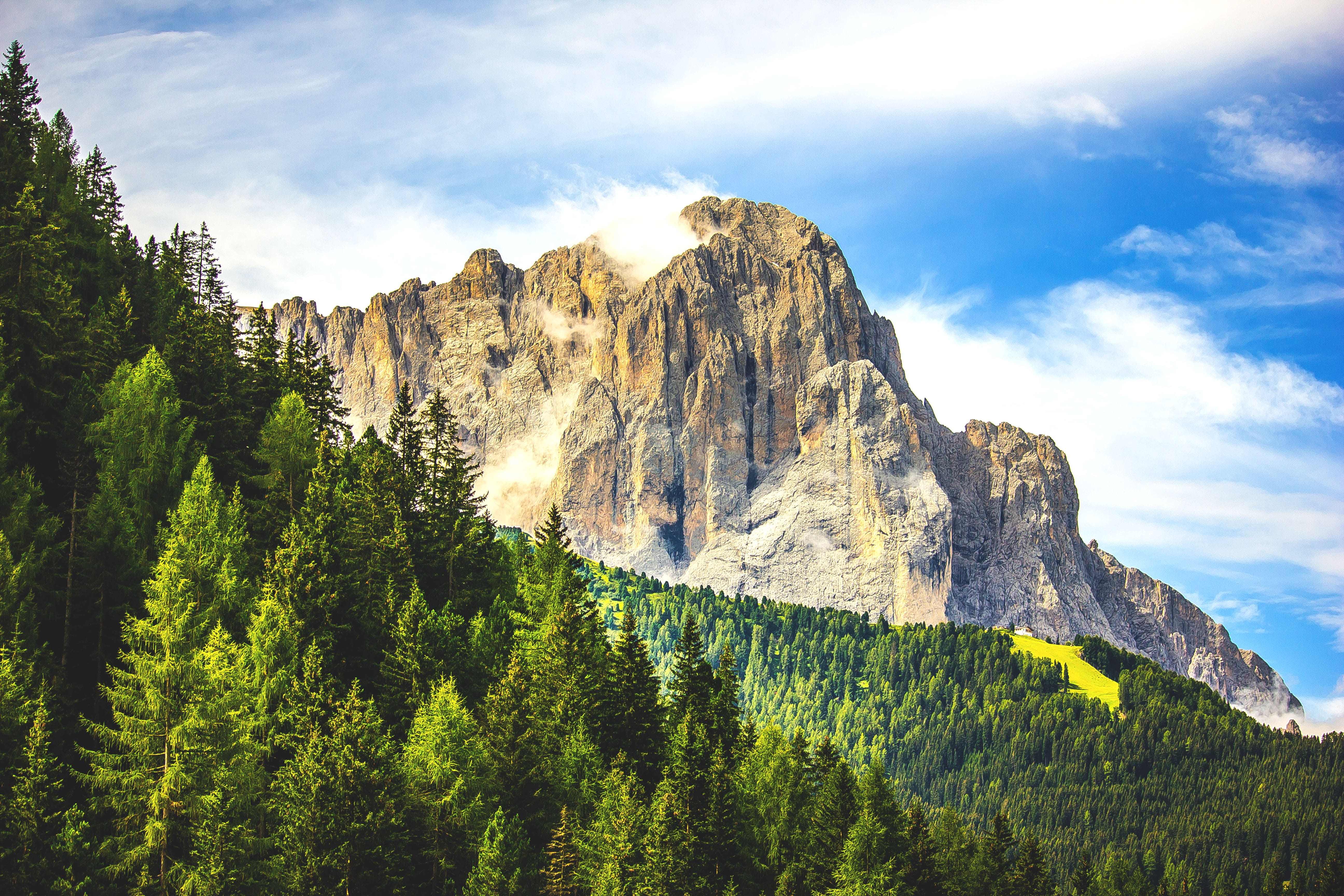 cyan, scenics - nature, forest, tranquility, non-urban scene, 5K, green color, nature, tranquil scene, rock, cloud - sky, natura, tree, pine tree, mountain, HD Wallpaper