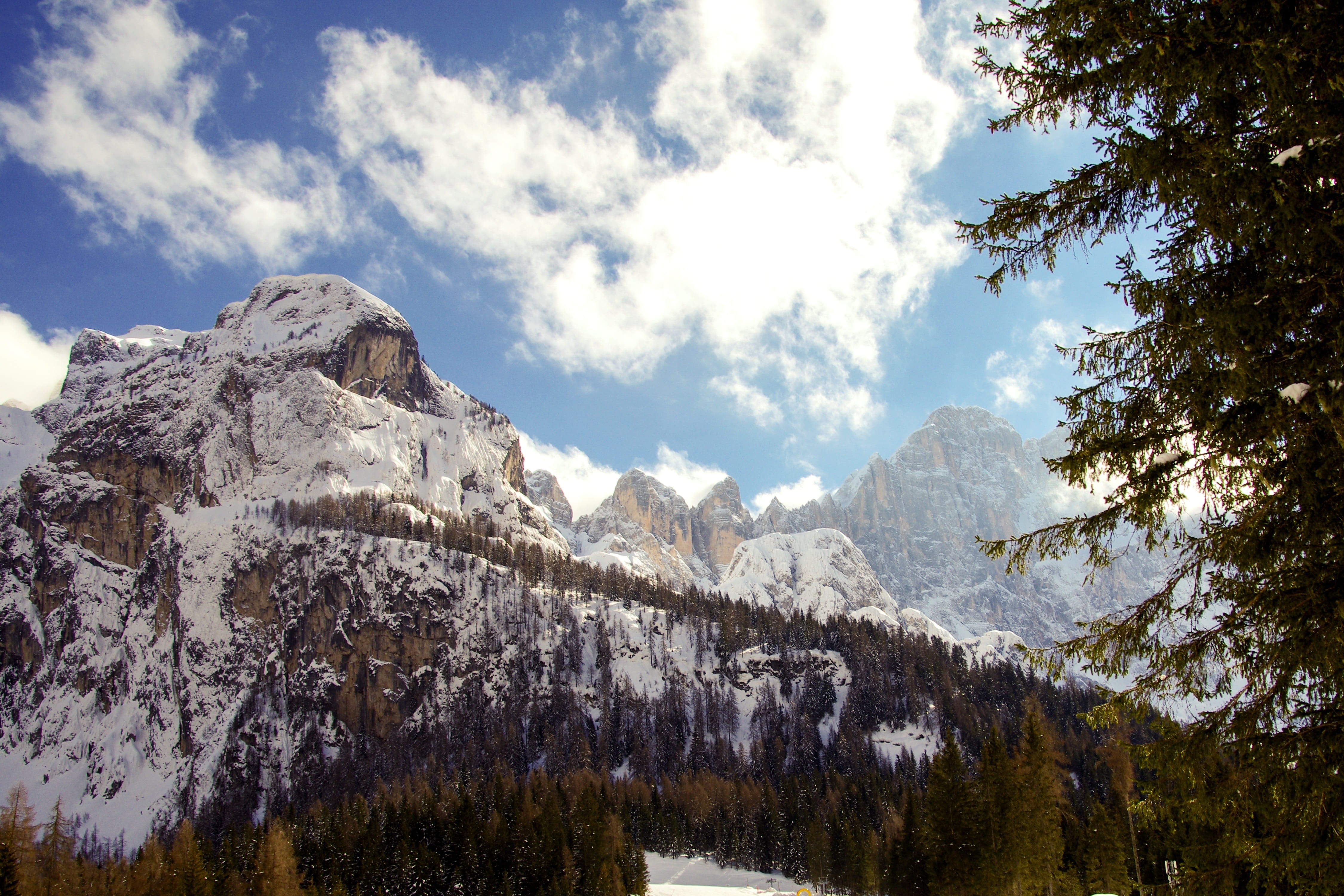 winter, tranquility, non-urban scene, veneto, pine tree, formation, nature, winter panorama, mountain range, alps, scenics - nature, cold temperature, day, HD Wallpaper