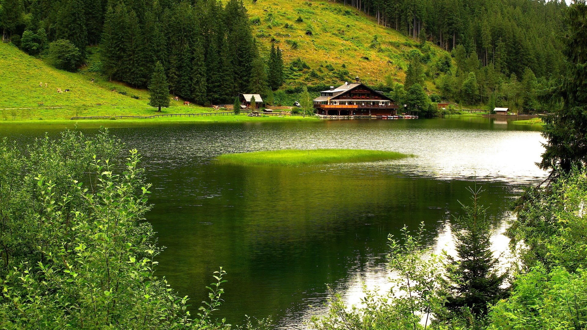 lago, beauty in nature, reflection, building, tranquility, residential district, growth, no people, plant, cottage, building exterior, 1080P, verde, lake, HD Wallpaper