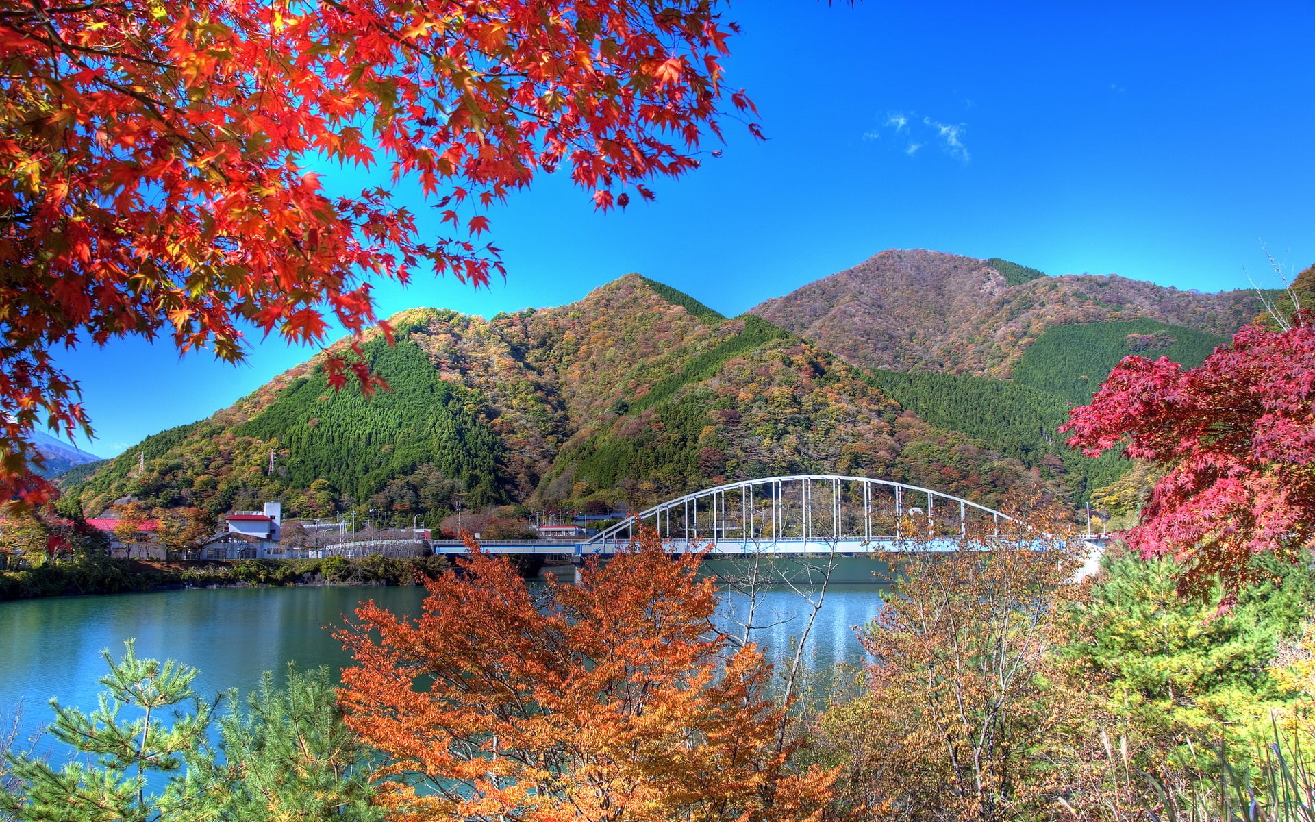 tree, tranquil scene, plant, non-urban scene, lake, change, nature, paisaje, lago, naturaleza, bridge, 1080P, outdoors, sky, scenics - nature, bridge - man made structure, HD Wallpaper