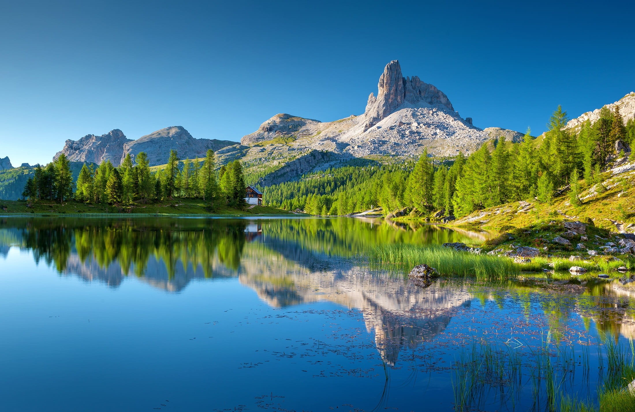 holiday, mountain, lake, plant, scenics - nature, croda da lago, mountain peak, blue, alto adige, water, beauty in nature, mountain range, vacation, forest, HD Wallpaper