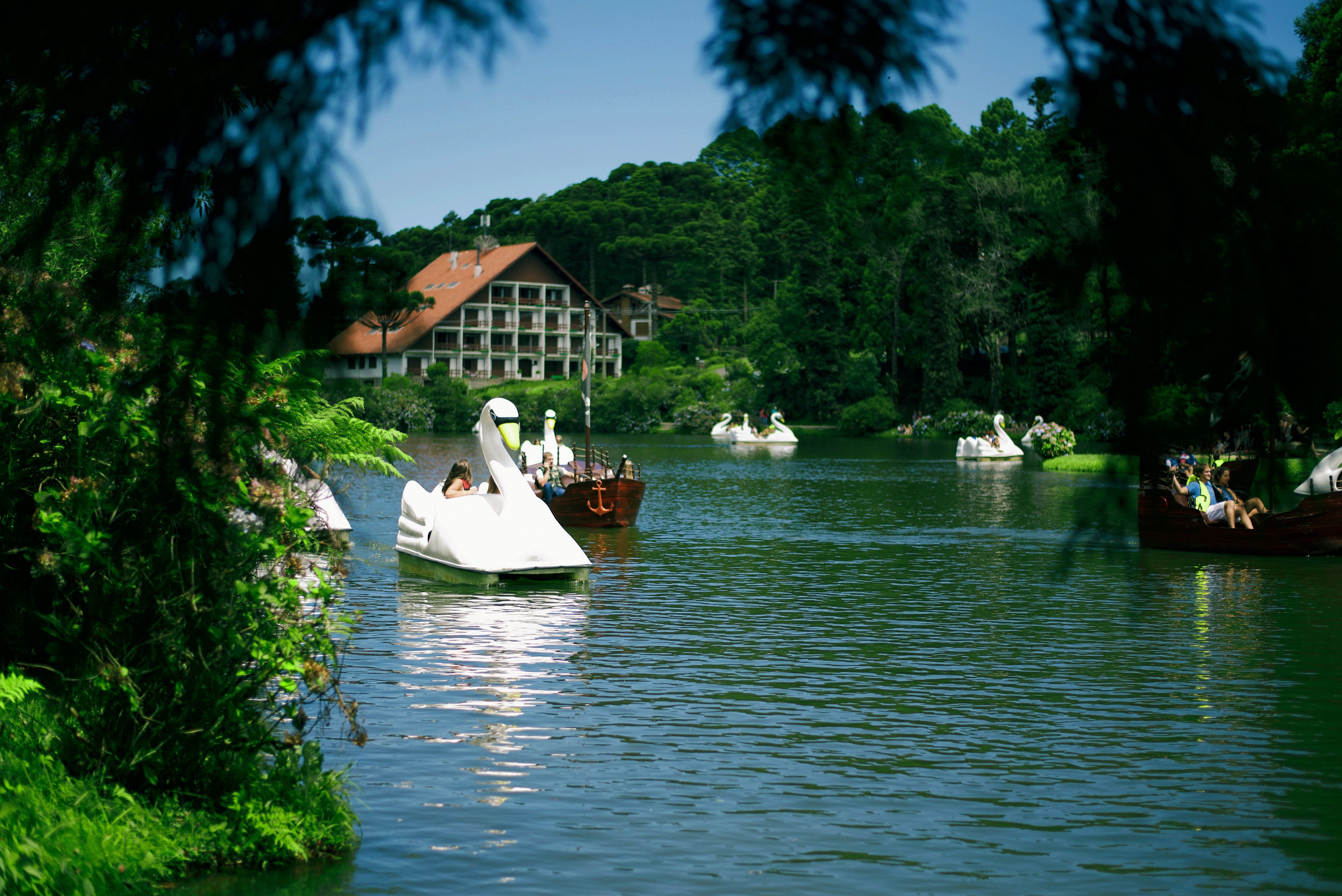 built structure, waterfront, plant, outdoors, water, reflection, building exterior, beauty in nature, nature, lago negro., gramado, tree, architecture, HD Wallpaper