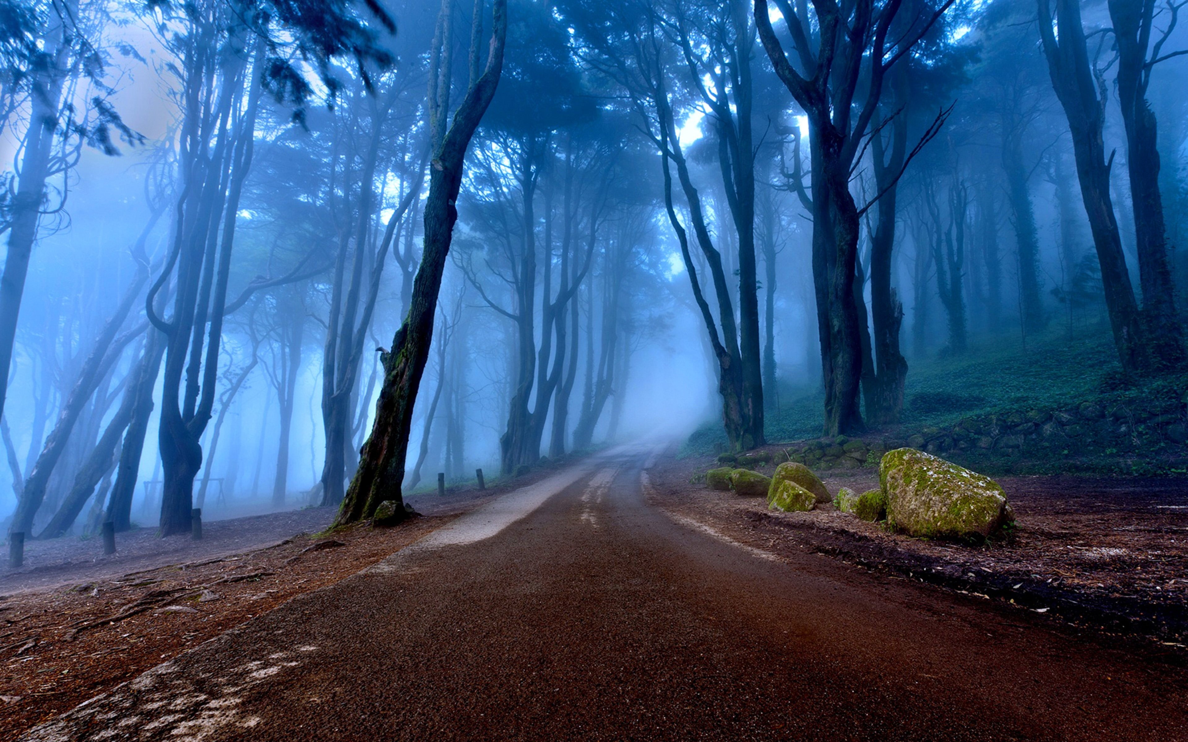 backgrounds, 4K, road, landscapes, portugal, trees, hd, mist, tall, rock, forest, desktop, autumn, HD Wallpaper