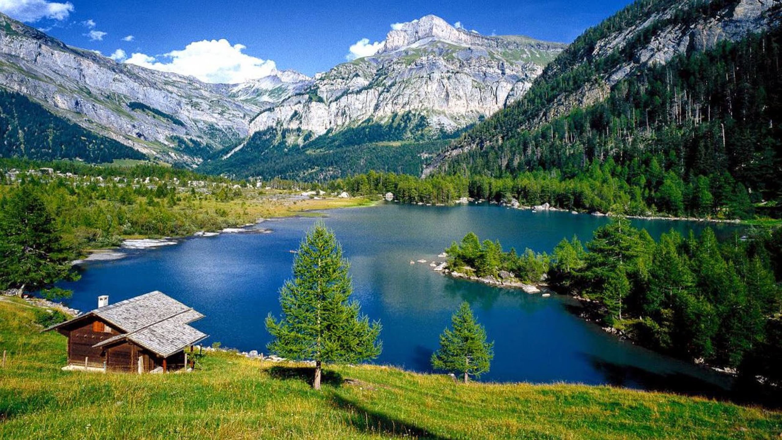  trees, blue, pine, house, 2K, turquoise, landscape, coast, water, switzerland, green, hd, rocky, wooden, meadow, lake, mountains, forest, HD Wallpaper