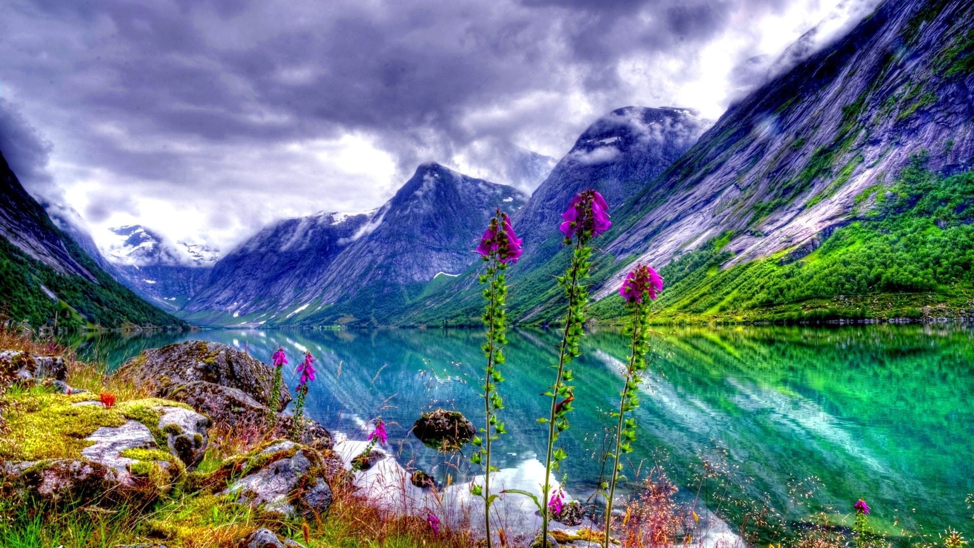 1080P, valley, desktop, picture, pc, mountain, landscape, tablet, mobile, hd, flowers, natural, sky, river, HD Wallpaper