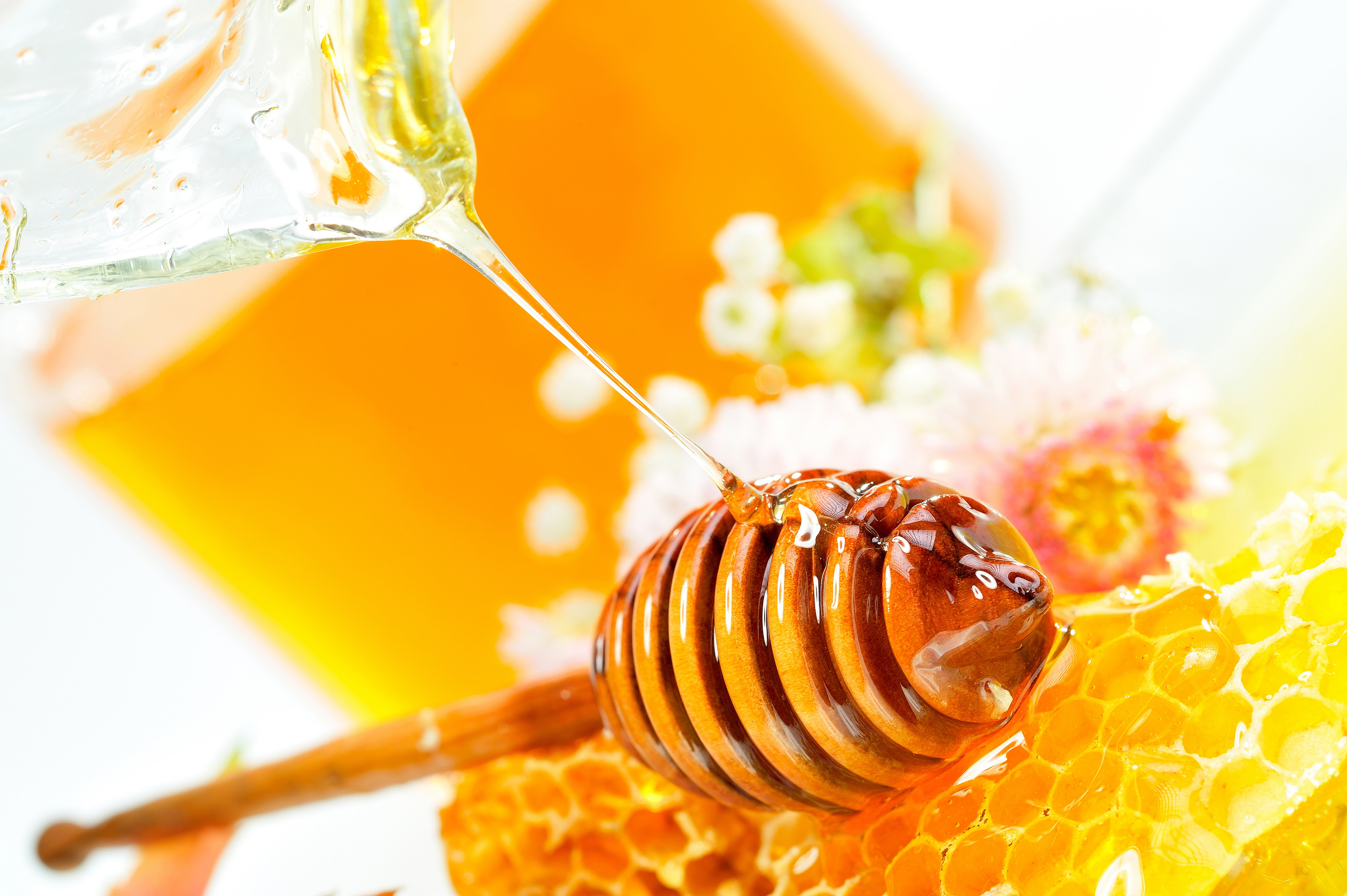 sweet Food, healthy eating, no people, glass, still life, nature, cell, Honey dipper, beeswax, wax, indoors, refreshment, bee, pollination, drink, macro, HD Wallpaper