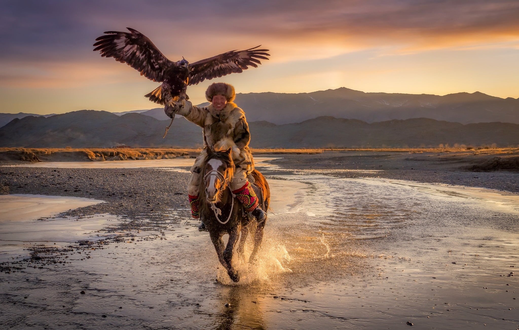 Horse, 1080P, Eagle, eagle hunter, Mongolia, Ulgii, HD Wallpaper