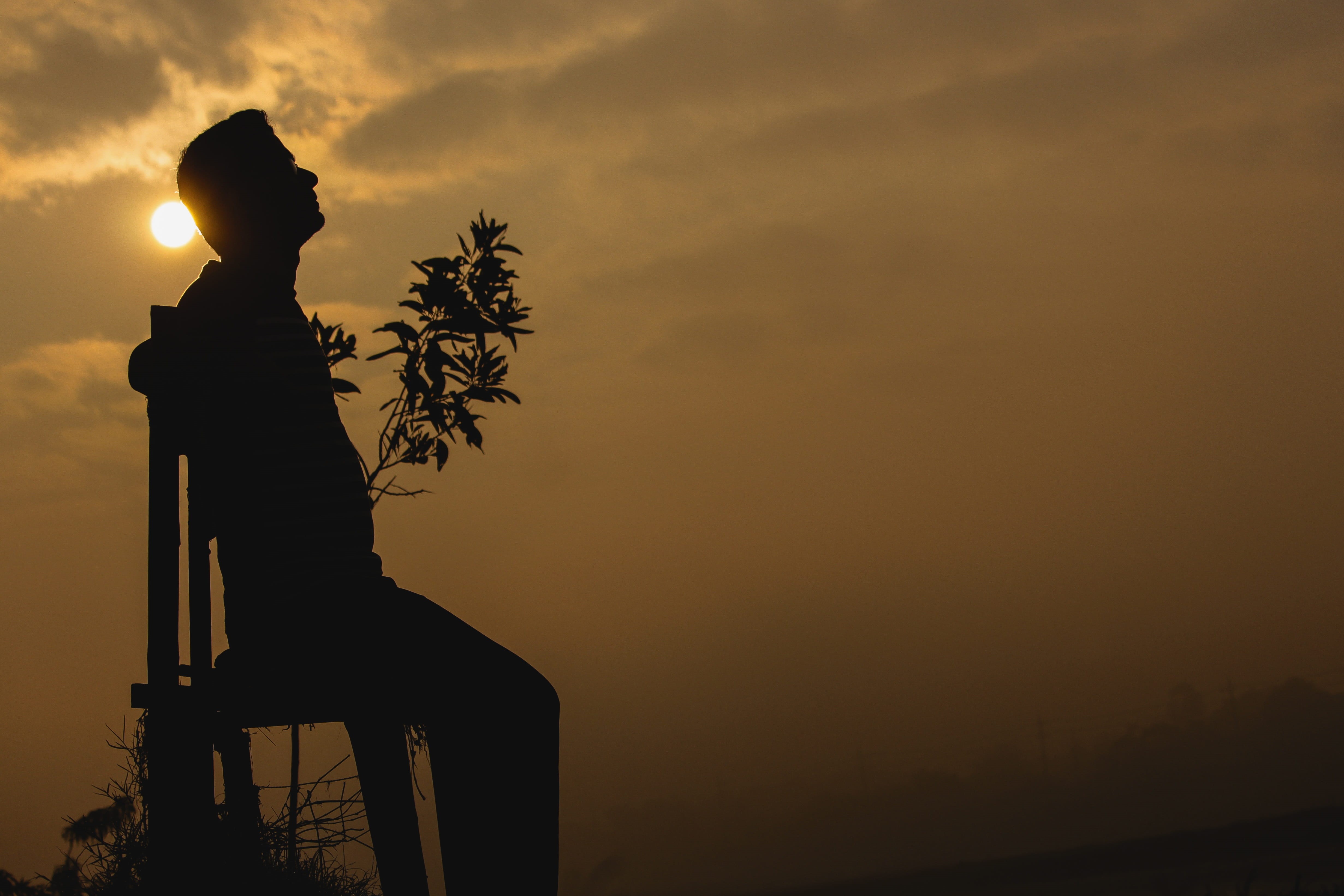 royalty, one person, orange color, representation, sun, beauty in nature, copy space, architecture, sunset, plant, nature, tree, 4K, morning, foggy morning, HD Wallpaper