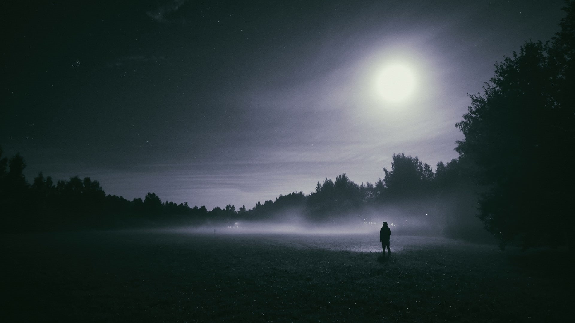 beauty in nature, full length, standing, tranquil scene, silhouette, moonlight, land, grass, one person, moon, fog, scenics - nature, plant, night, outdoors, HD Wallpaper