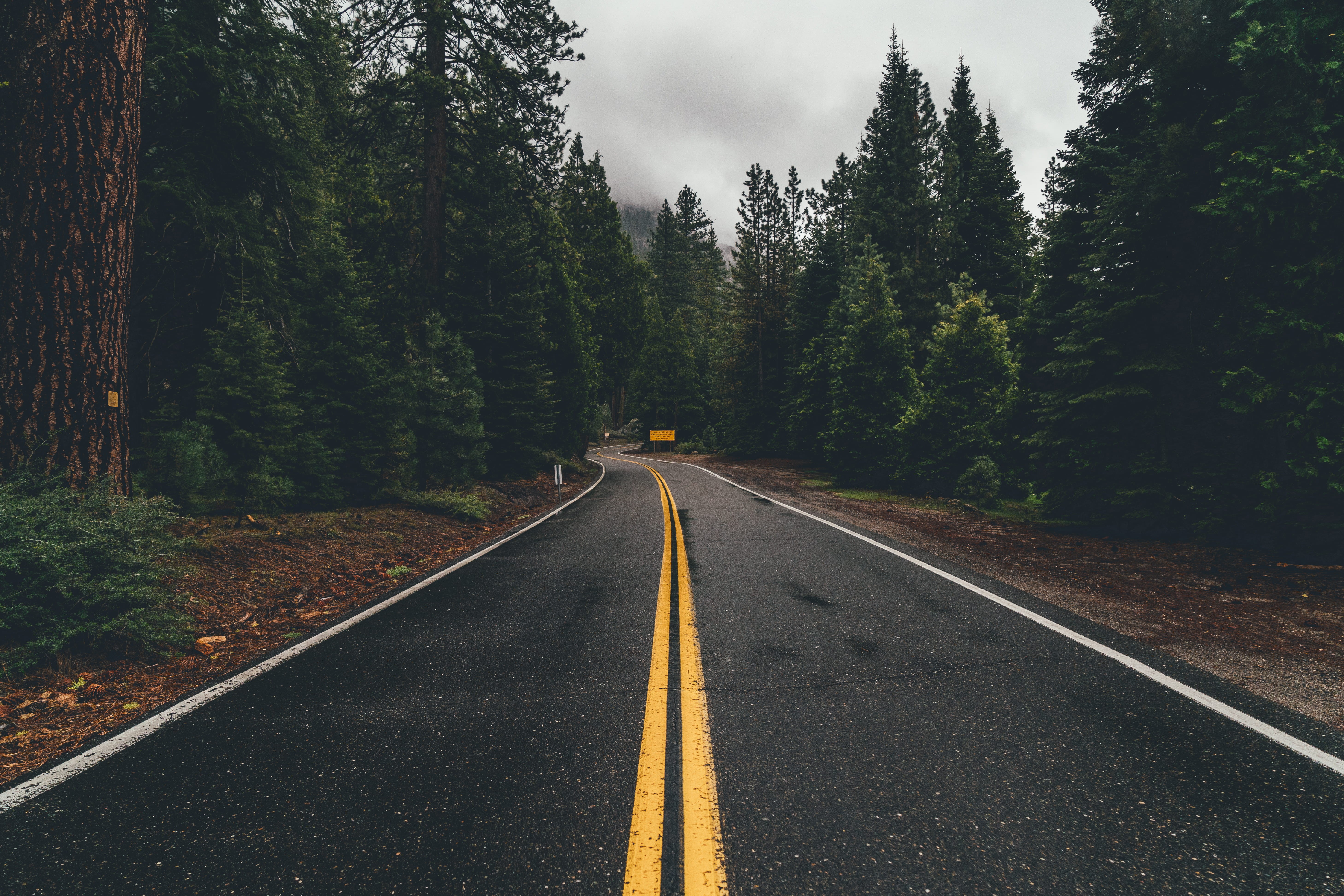 direction, diminishing perspective, plant, yellow, sign, sierras, outdoors, california, fir, gray, towards, dividing line, outside, green, 5K, empty road, HD Wallpaper