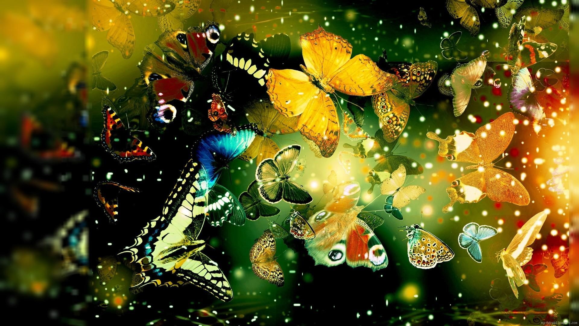 butterfly, animal, light, toward, butterflies, assorted, flying, color, 1080P, HD Wallpaper