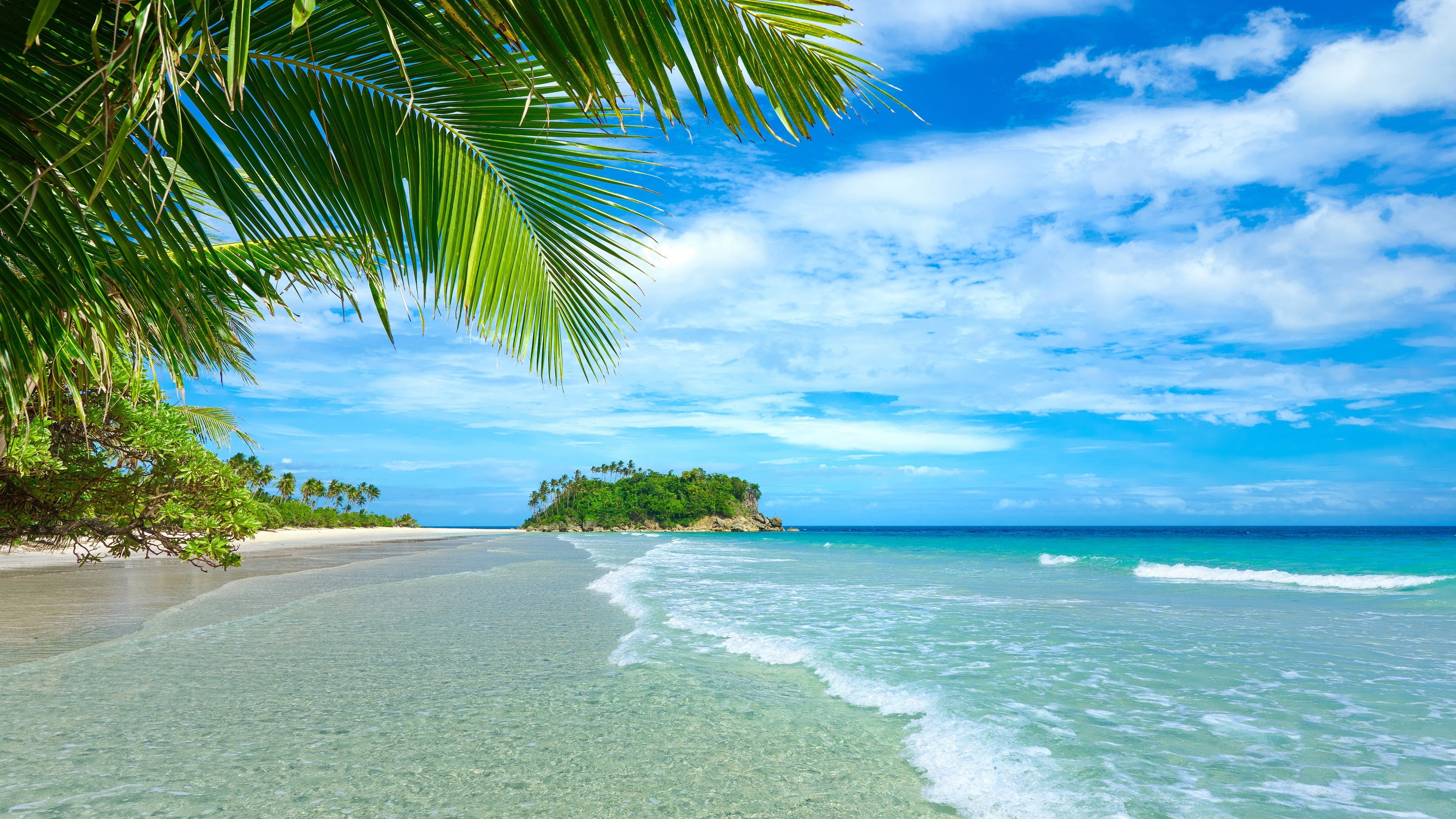 Blue, Sea, 4K, Tropical, Palm, Trees, Coast, Beach, Sky, Water, HD Wallpaper