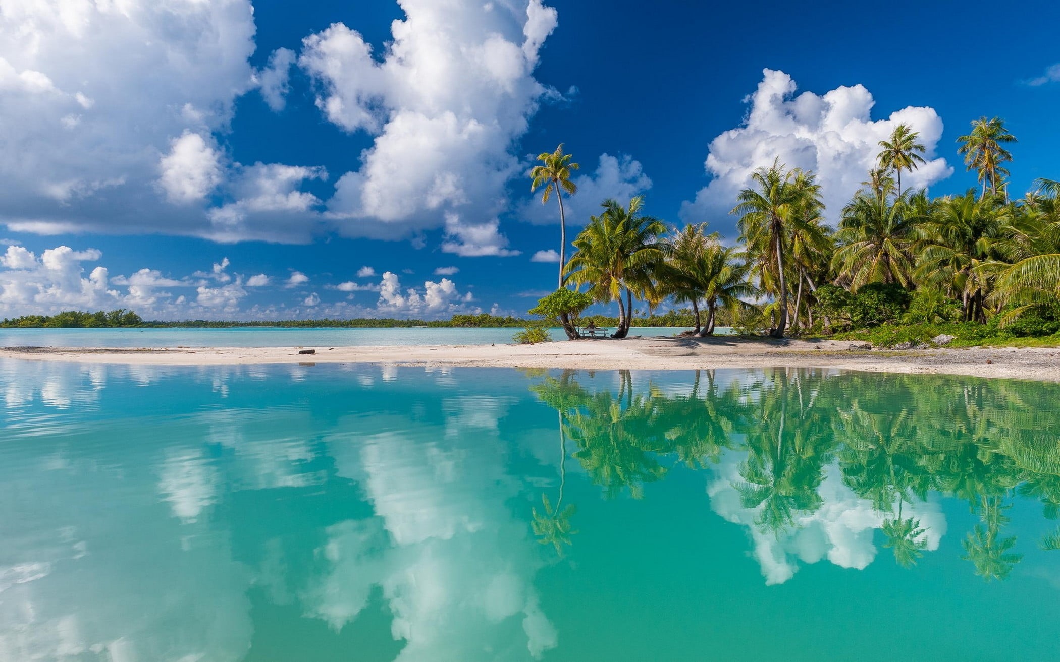 sea, tropical climate, palm tree, tranquility, beach, reflection, French Polynesia, tranquil scene, landscape, turquoise, summer, tree, 1080P, waterfront, HD Wallpaper