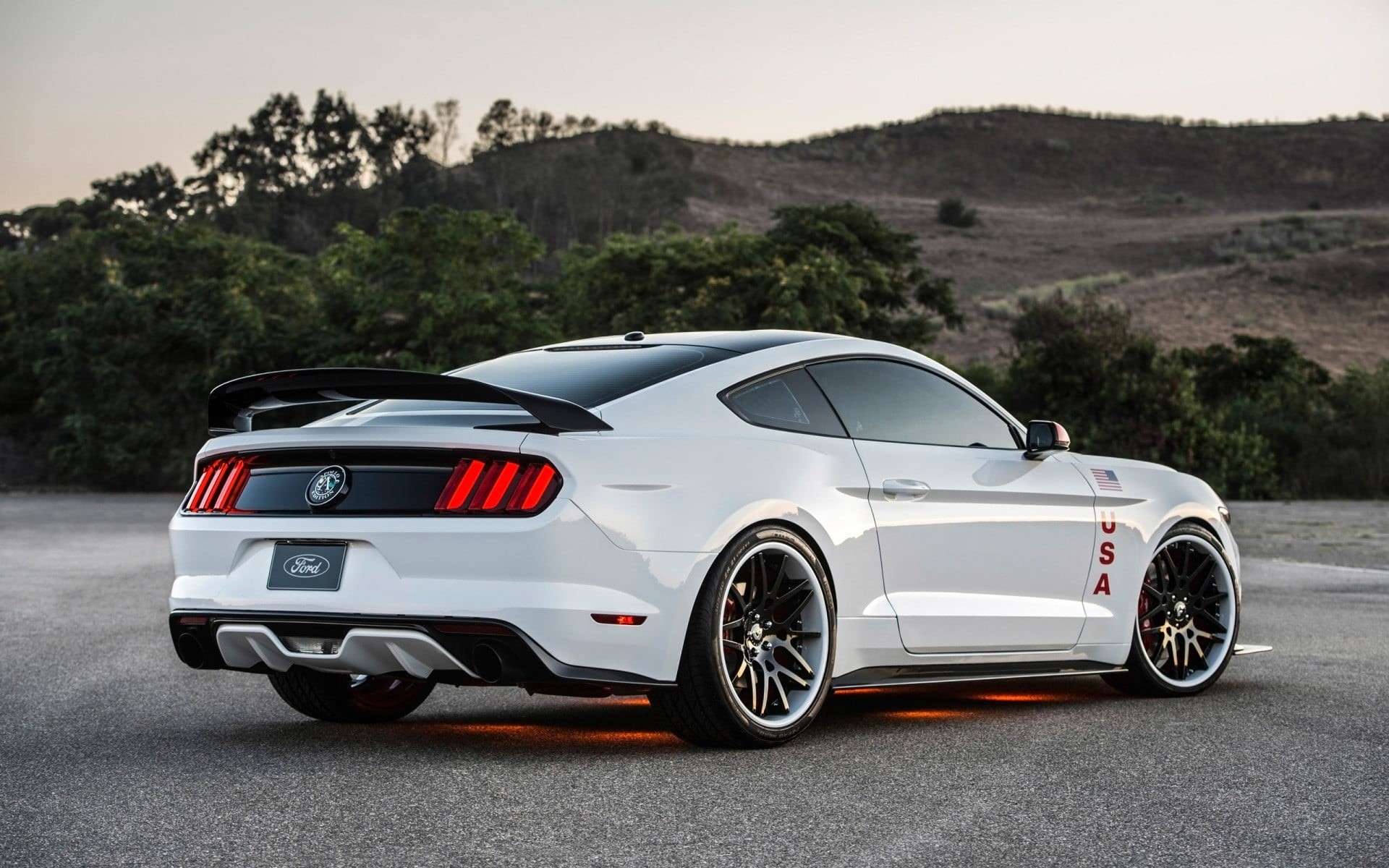 luxury, city, road, red, wealth, nature, travel, wheel, street, 1080P, plant, Ford Mustang GT, motion, transportation, car, Ford Mustang, tire, coupe, HD Wallpaper