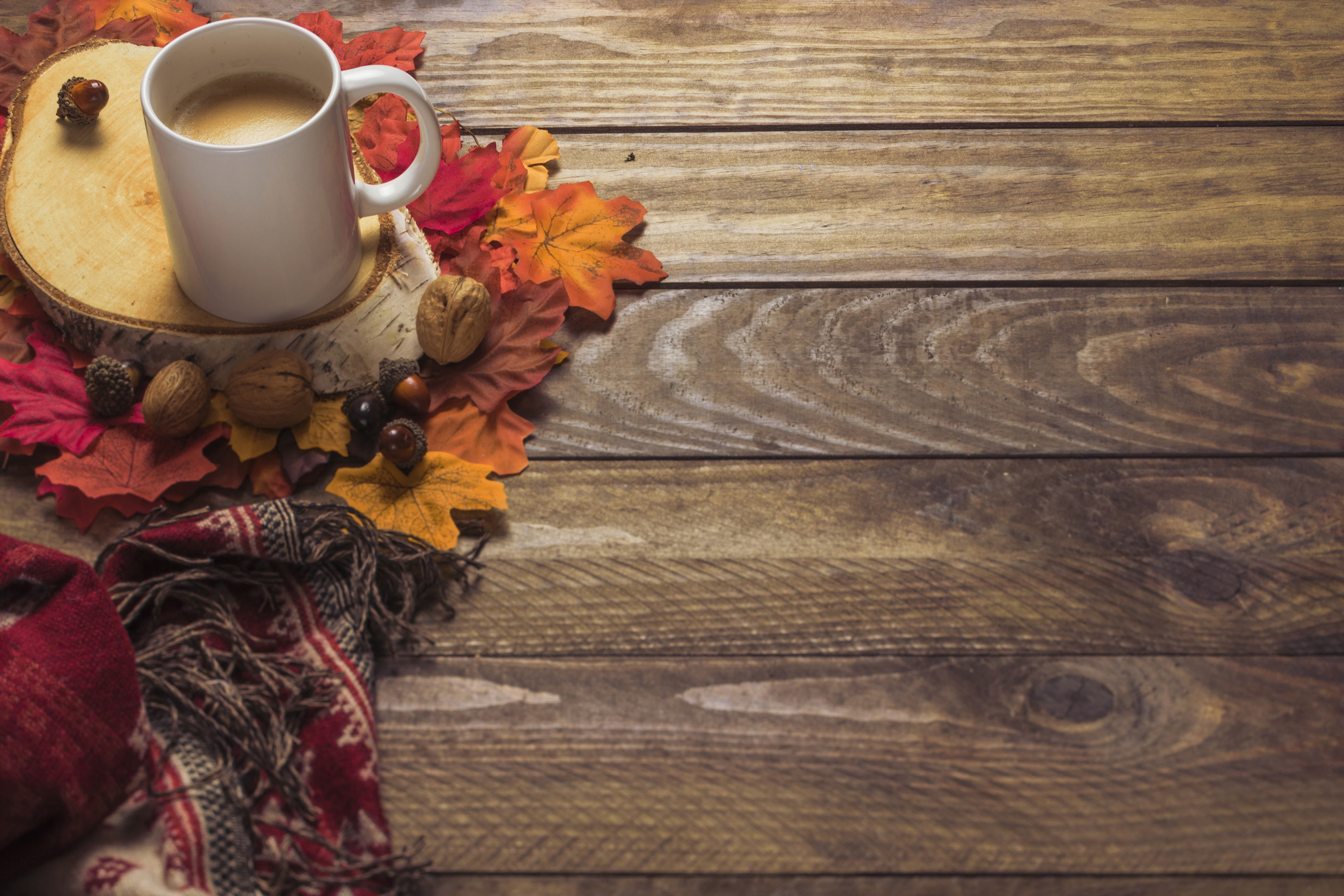 maple, background, tree, scarf, coffee, leaves, 5K, wood, colorful, autumn, Cup, HD Wallpaper