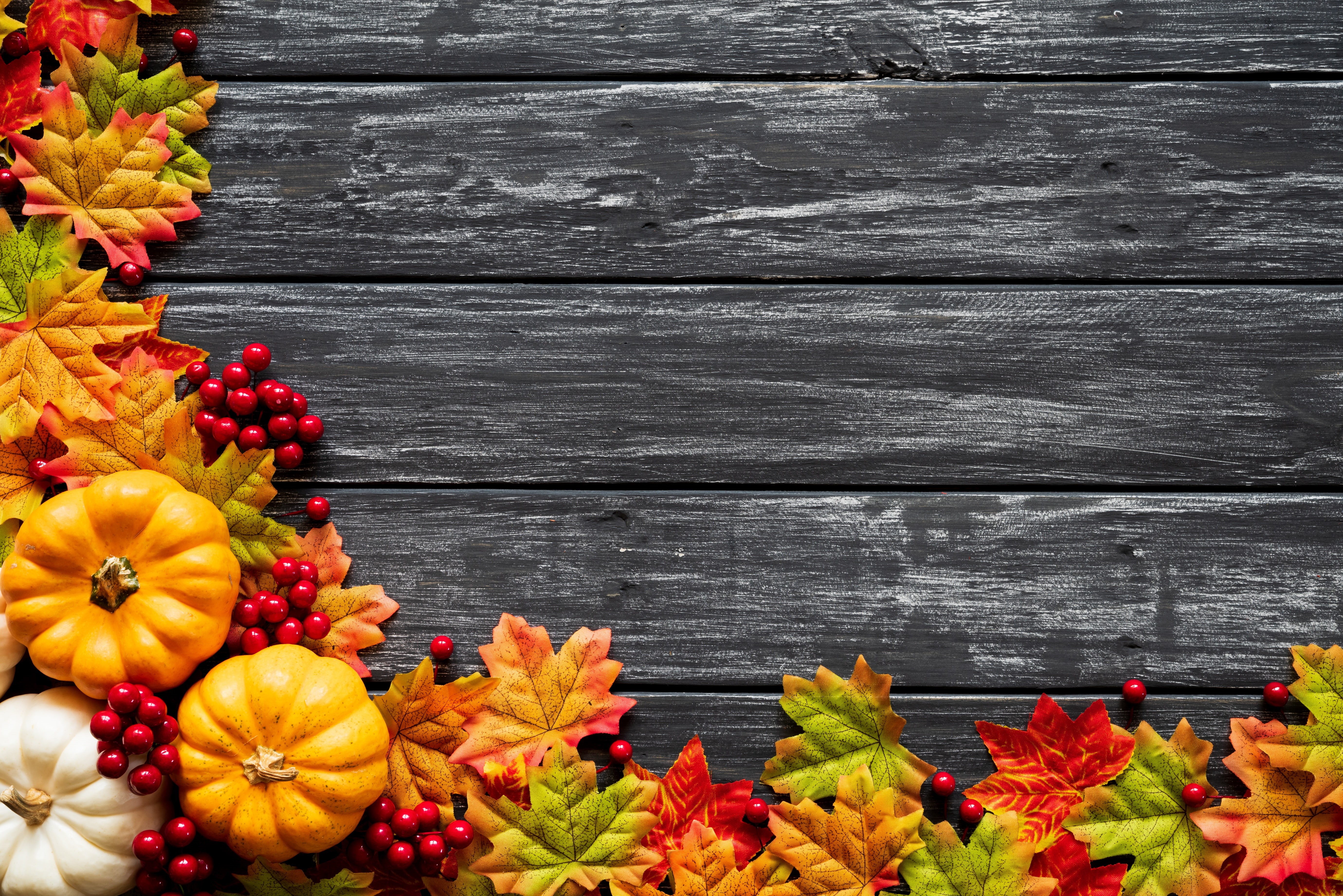 wood, background, colorful, autumn, pumpkin, Board, leaves, maple, 5K, HD Wallpaper