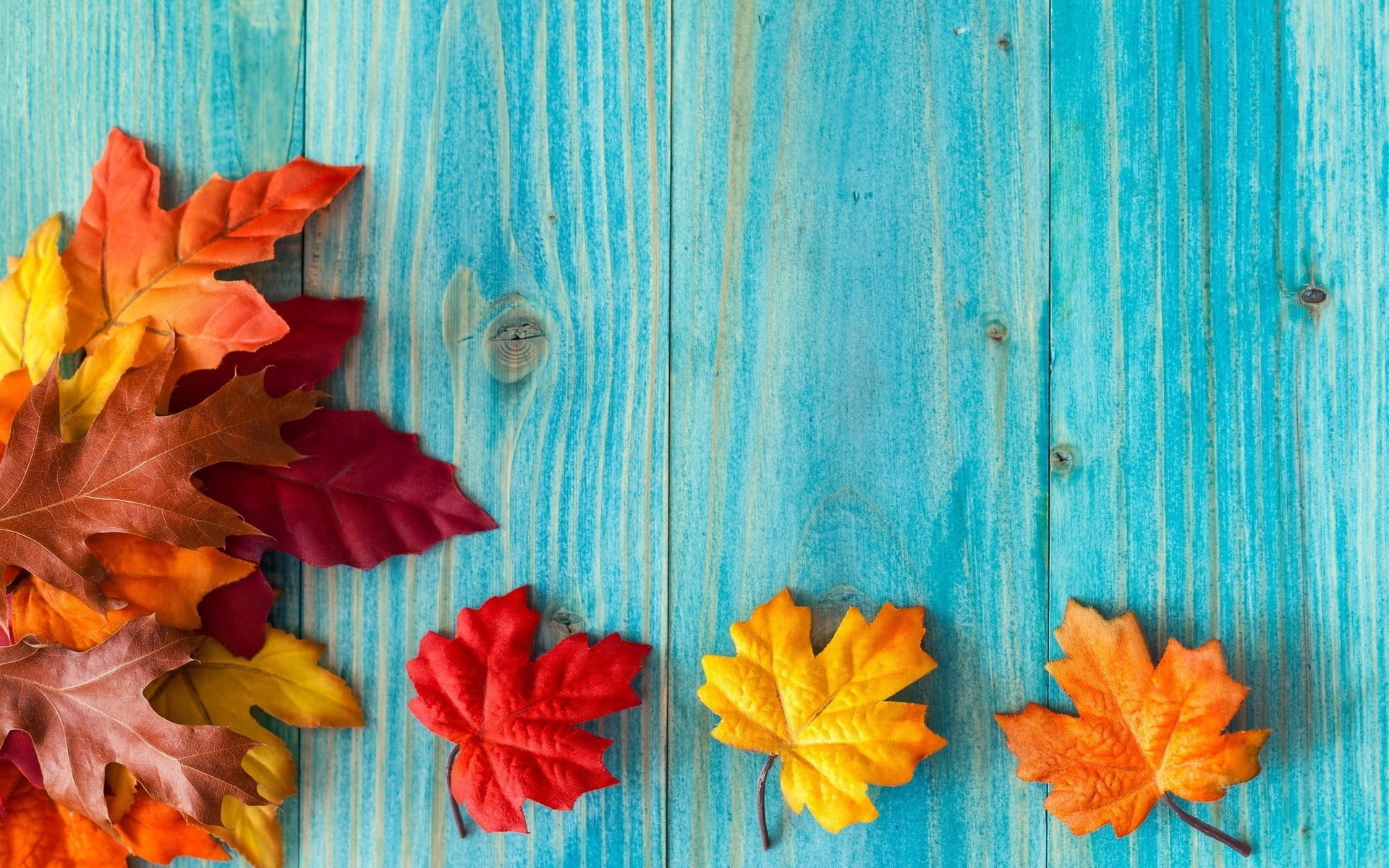 plant, wood, outdoors, leaf, red leaves, flower, vulnerability, flower head, beauty in nature, day, high angle view, directly above, orange, maple leaves, HD Wallpaper