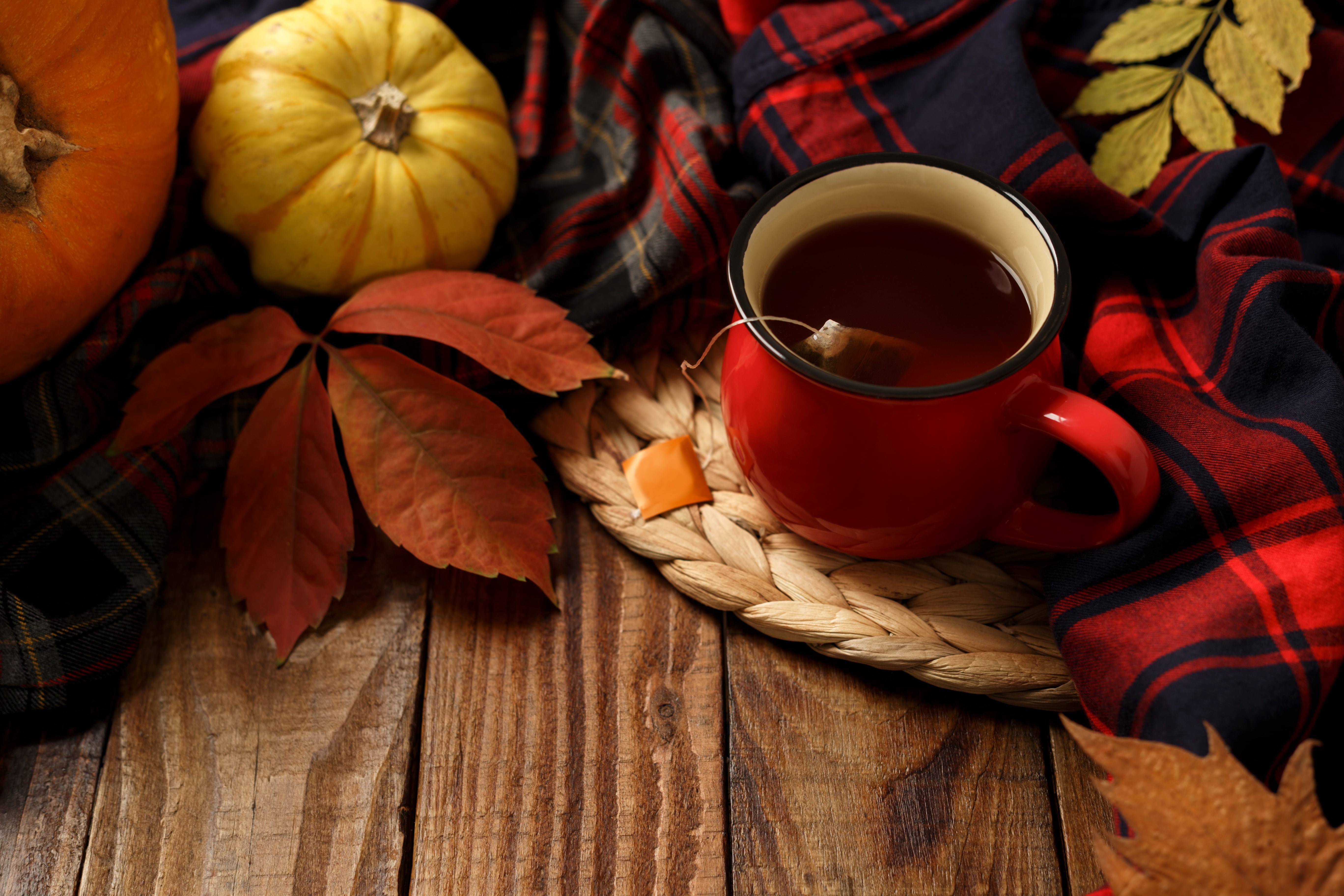 maple, pumpkin, cup, wood, 5K, autumn, tea, Cup of tea, leaves, colorful, background, Board, HD Wallpaper