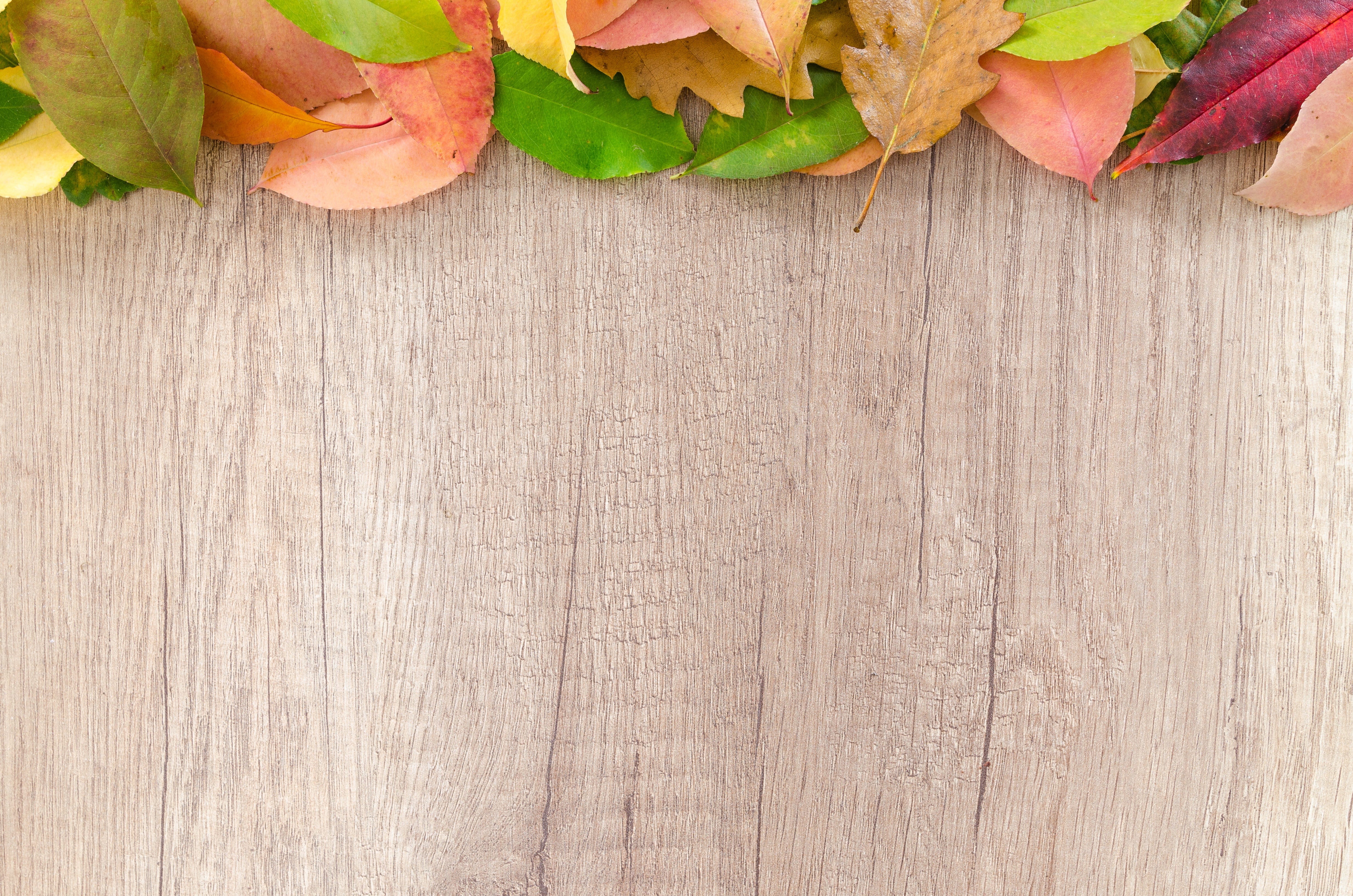 pattern, natural, bright, orange, fall, seasonal, decoration, colorful, surface, season, brown, border, color, no people, indoors, wood - material, leaf, HD Wallpaper
