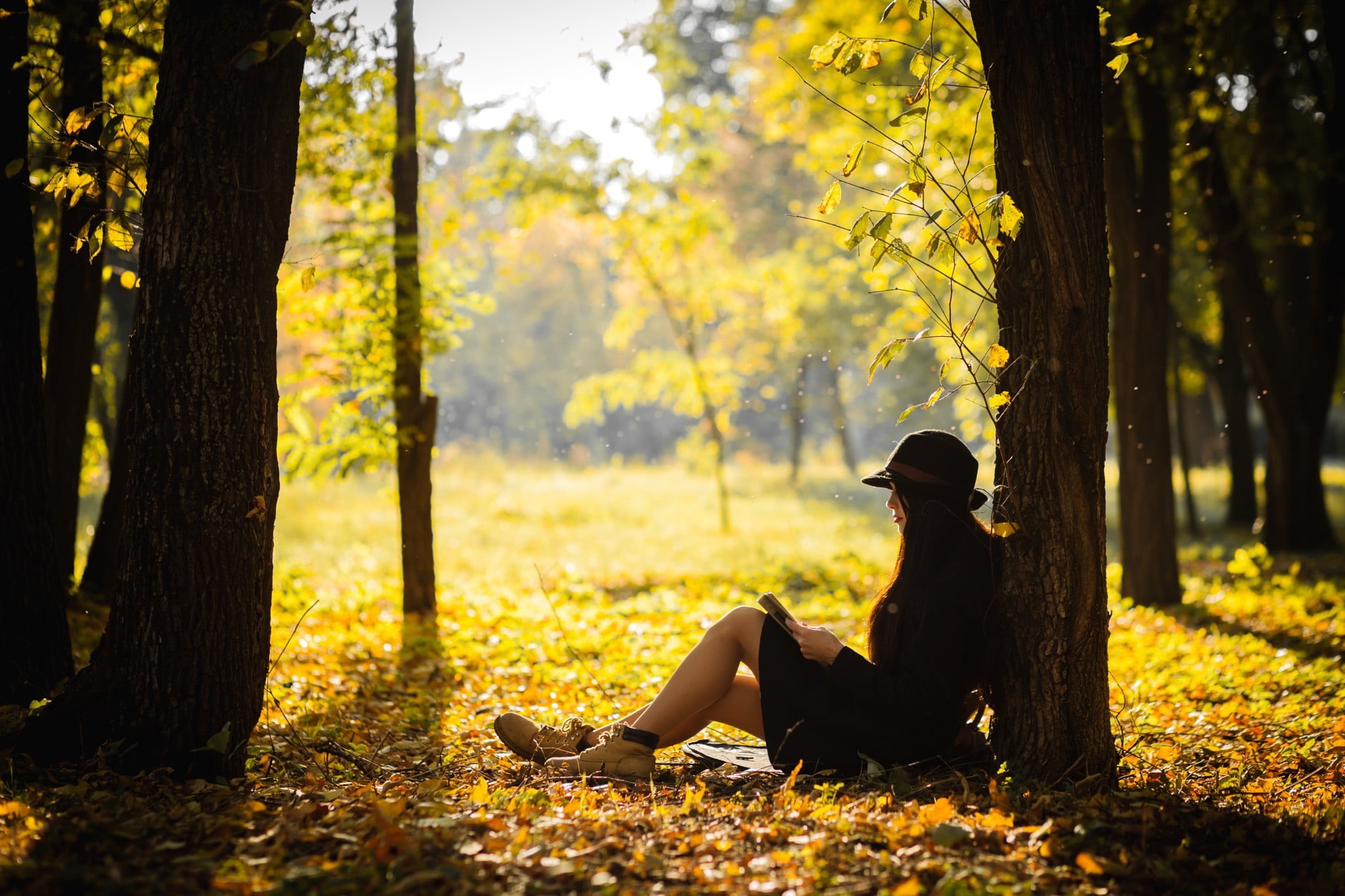 lifestyles, women outdoors, maple leaves, hat, women, outfit, mini, reading, land, day, sleeved, tree, sitting, real people, sunlight, trunk, relaxation, HD Wallpaper