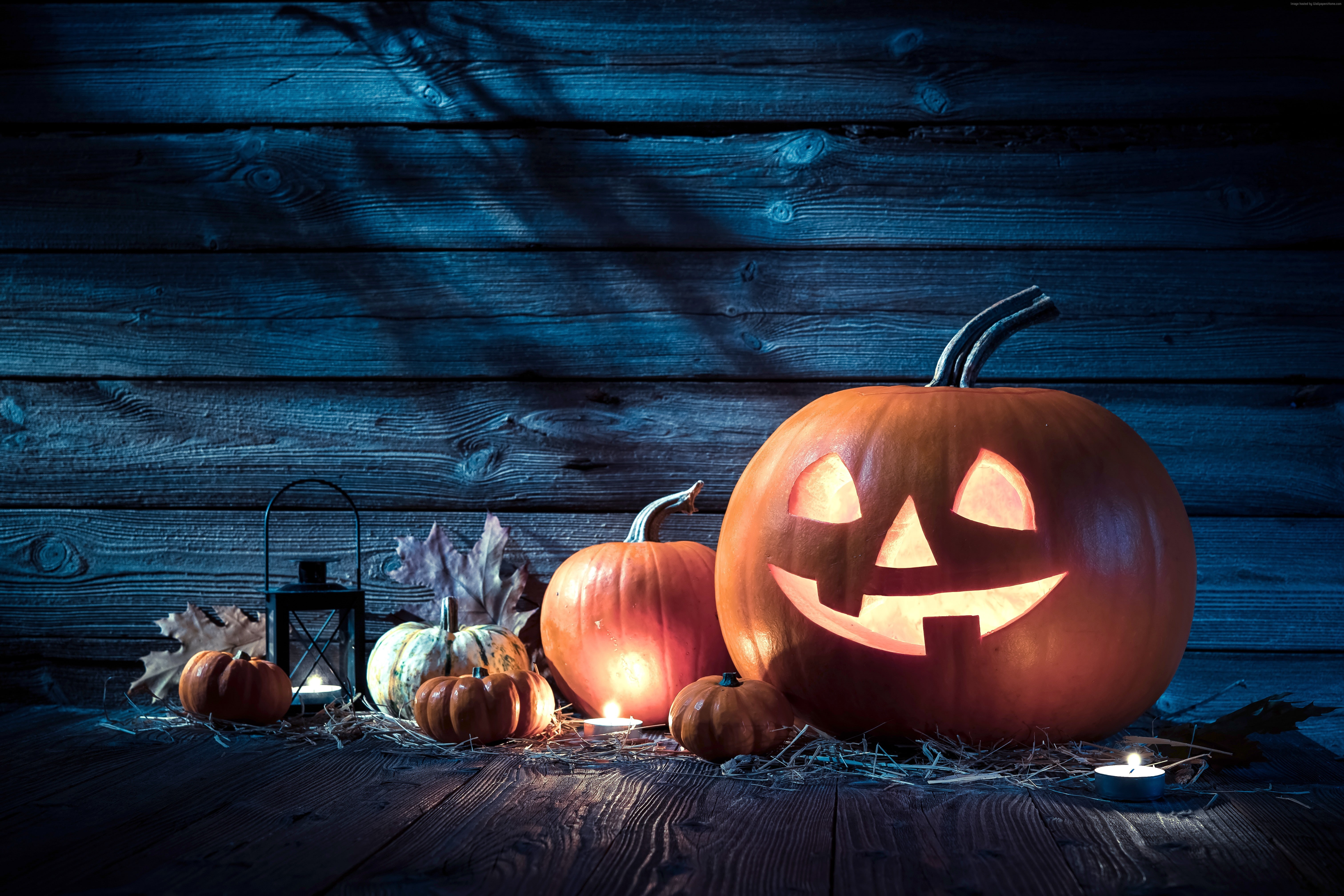 5K, pumpkin host, Halloween, 31 october, Holiday, HD Wallpaper