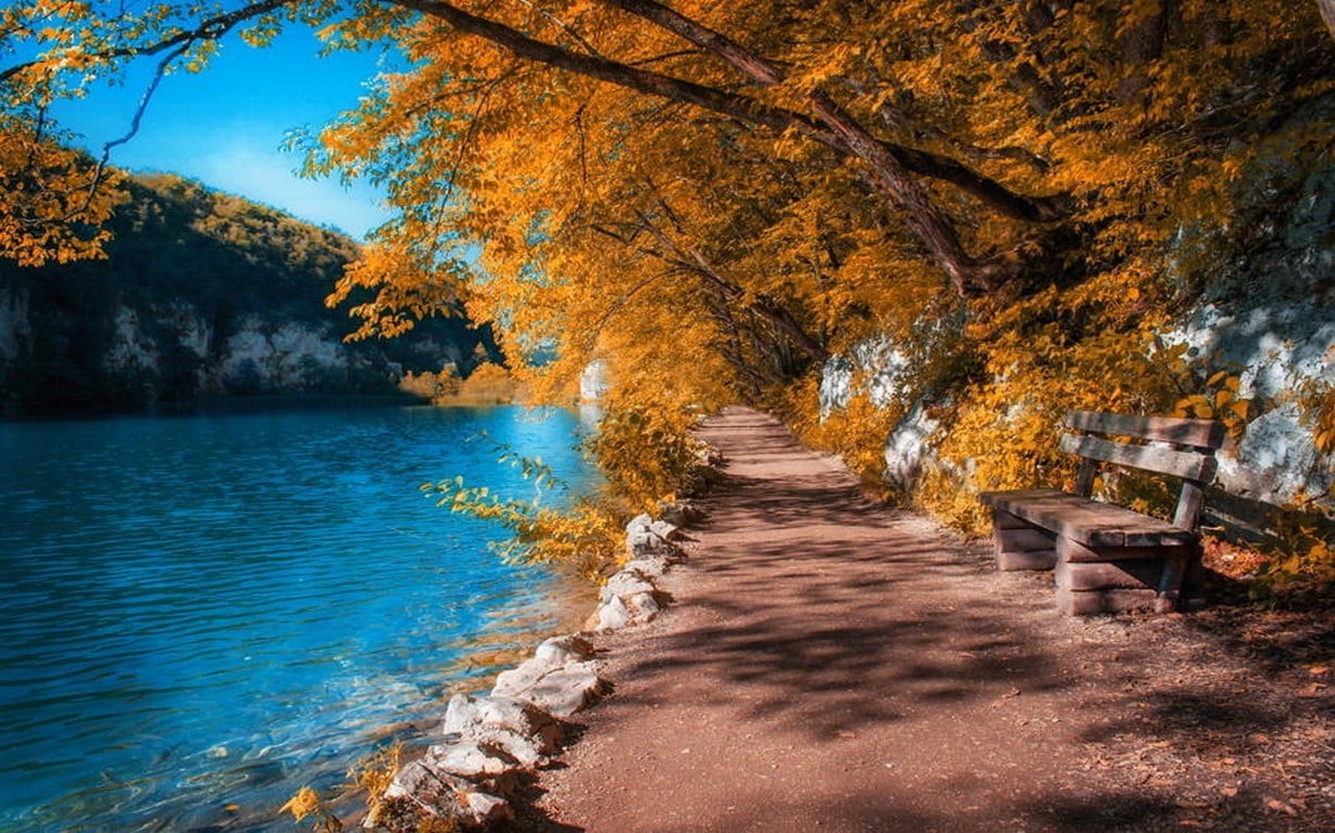scenics - nature, leaf, travel, brown, nature, idyllic, non-Urban Scene, tranquility, flowing water, vibrant Color, fall, season, woodland, change, colors, HD Wallpaper