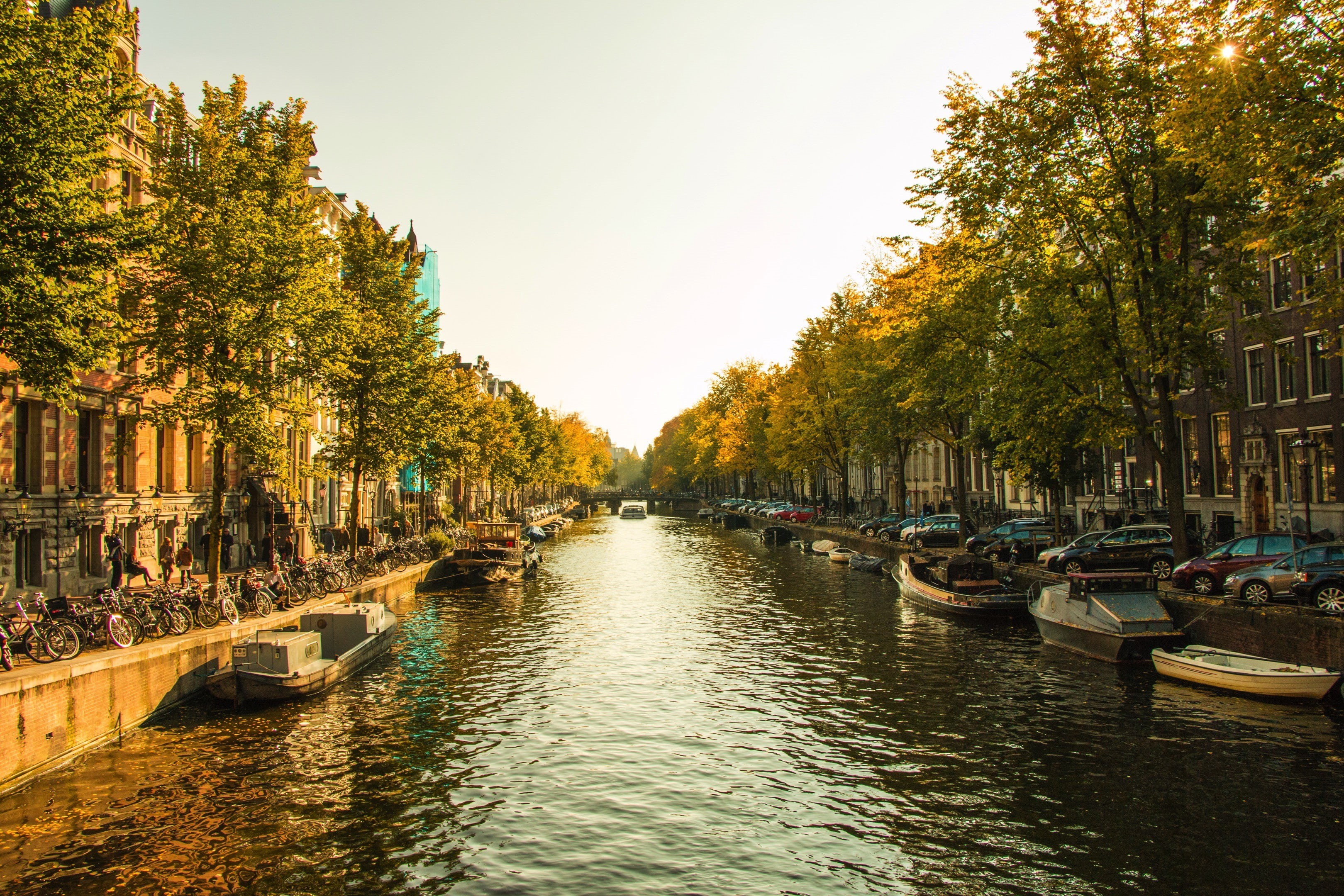 boat, treelined, nature, transportation, october, Amsterdam, clear sky, no people, nautical vessel, tree, Netherlands, built structure, city, waterfront, HD Wallpaper