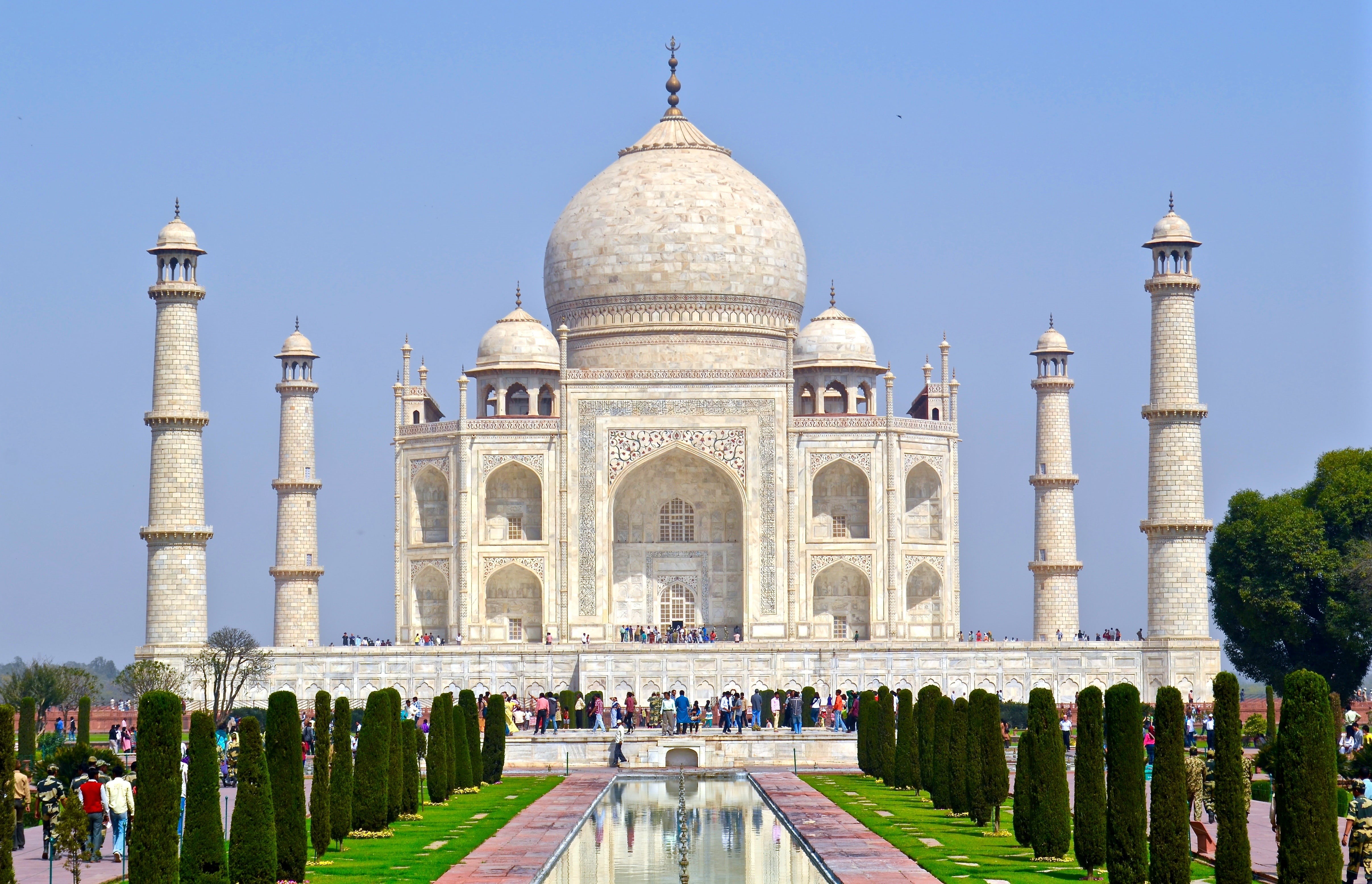 tree, indian Culture, sky, mughal Empire, india, mahal, building exterior, taj Mahal, plant, cultures, treelined, outdoors, memorial, islam, marble, famous Place, HD Wallpaper