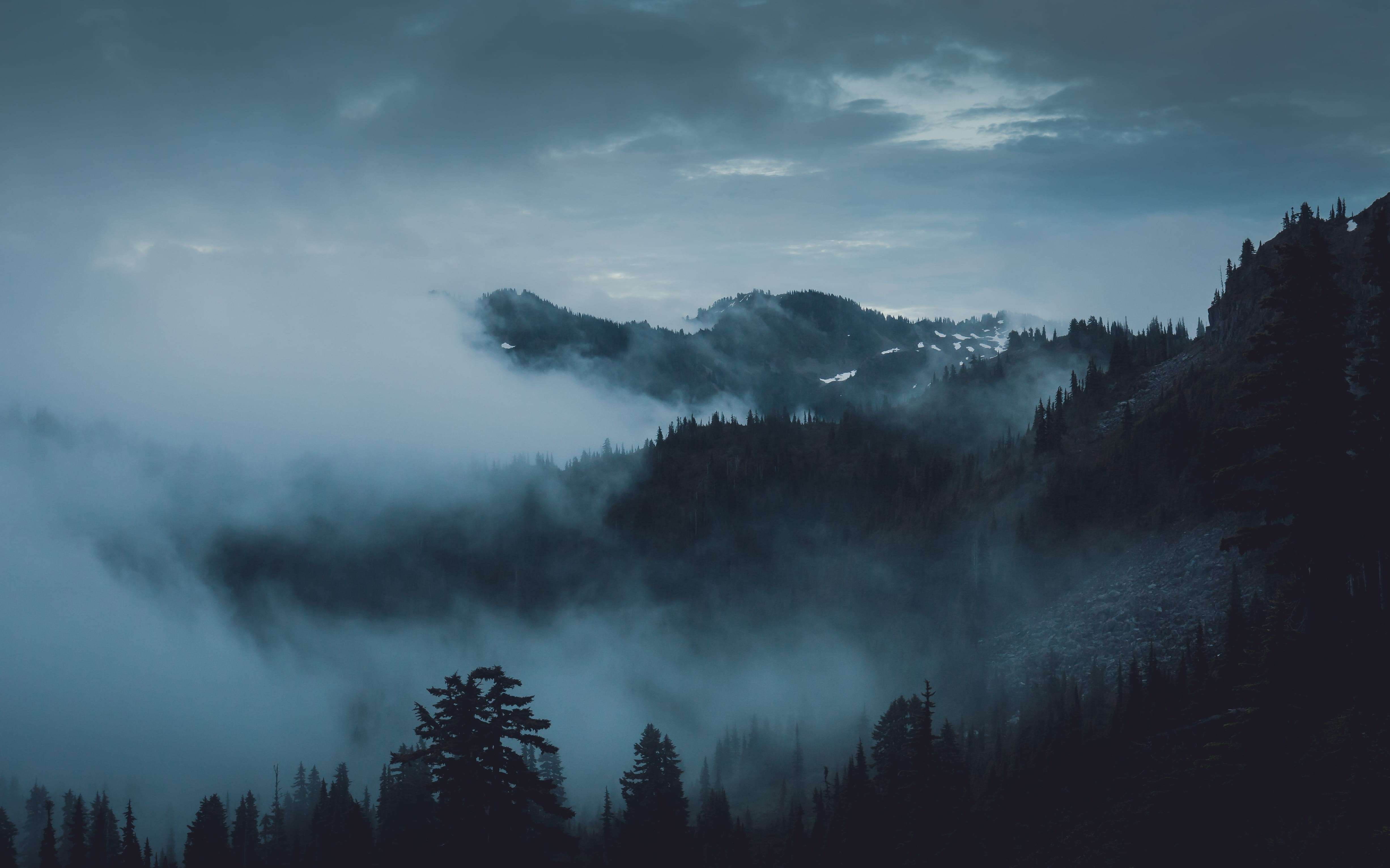 dusk, mist, mountain peak, cloud, cloudy, land, no people, hillside, silhouette, mountaint, environment, hill, fog, tranquil scene, covered, trees, pine tree, HD Wallpaper