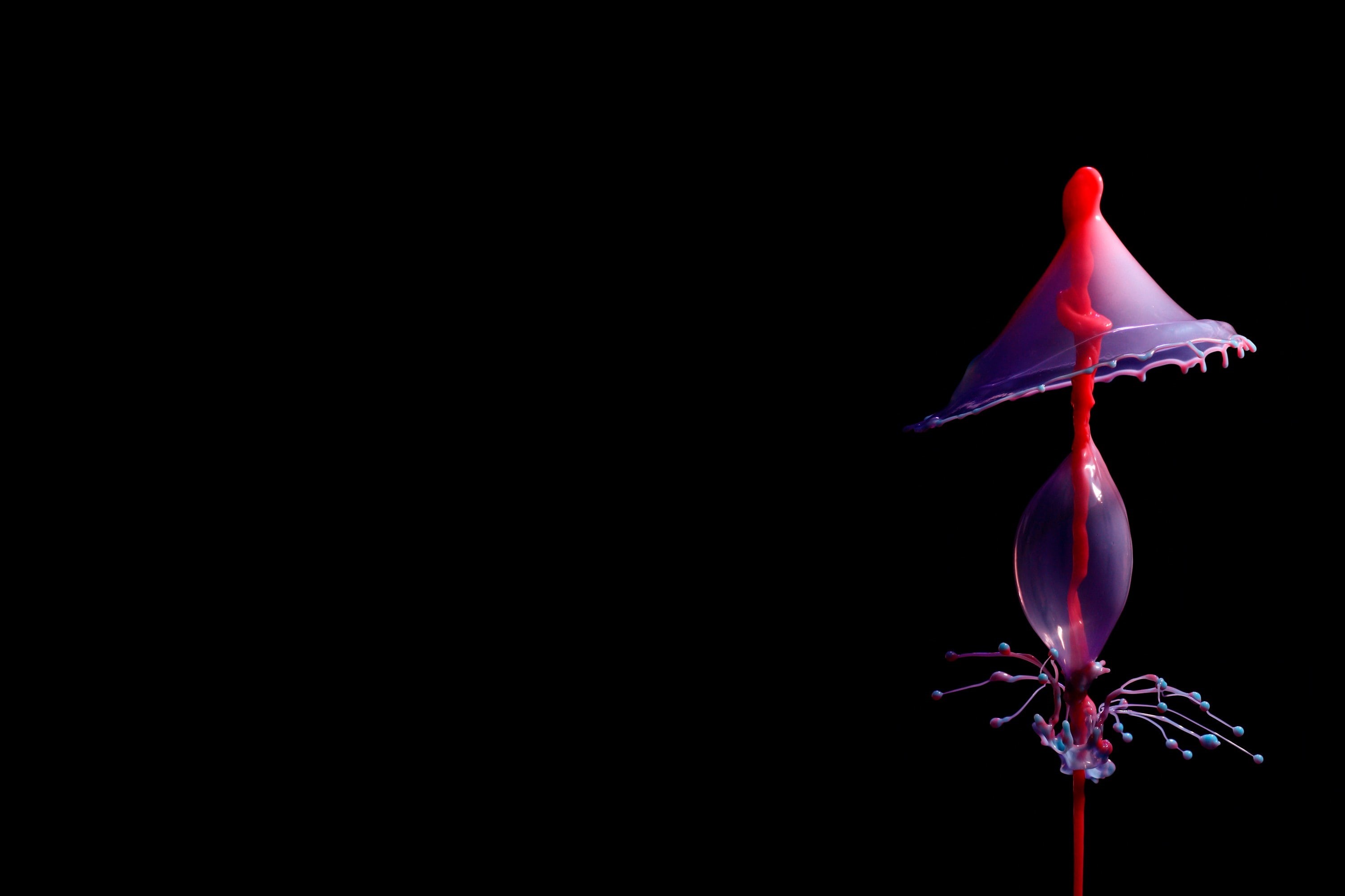 paint splatter, black background, 2K, minimalism, splashes, artwork, water drops, HD Wallpaper