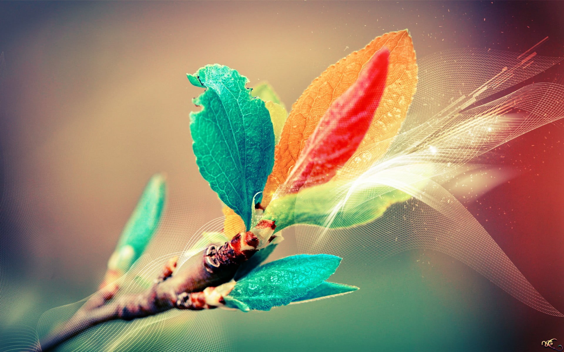brown, green Color, plant, colors, digital art, vibrant Color, multi Colored, small, flowering plant, leaf, animals in the wild, butterfly - insect, bright, HD Wallpaper