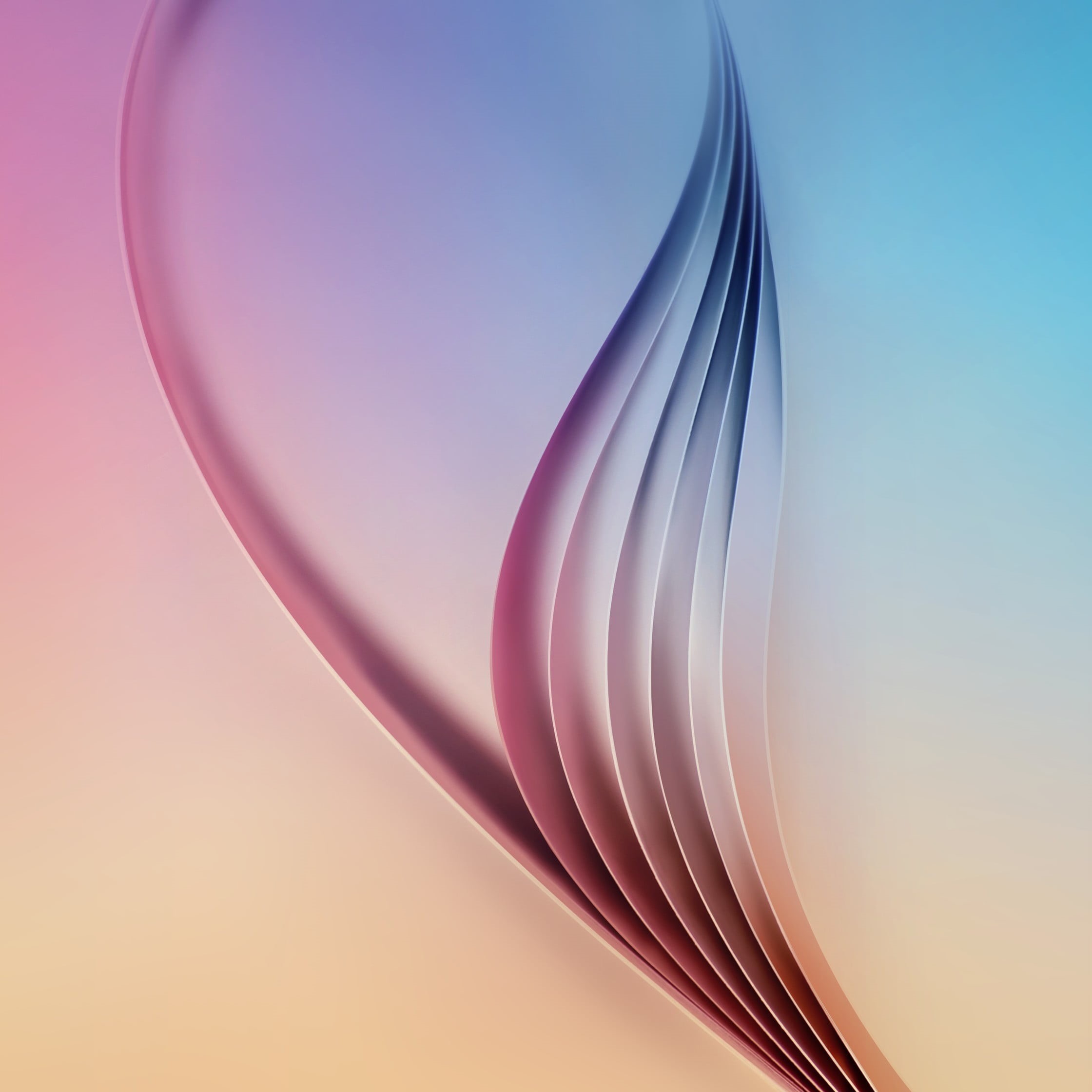 close-up, modern, concepts, purple, pink, curve, blue, motion, technology, blue background, creativity, pink color, vector, nature, no people, abstract backgrounds, Phone HD Wallpaper